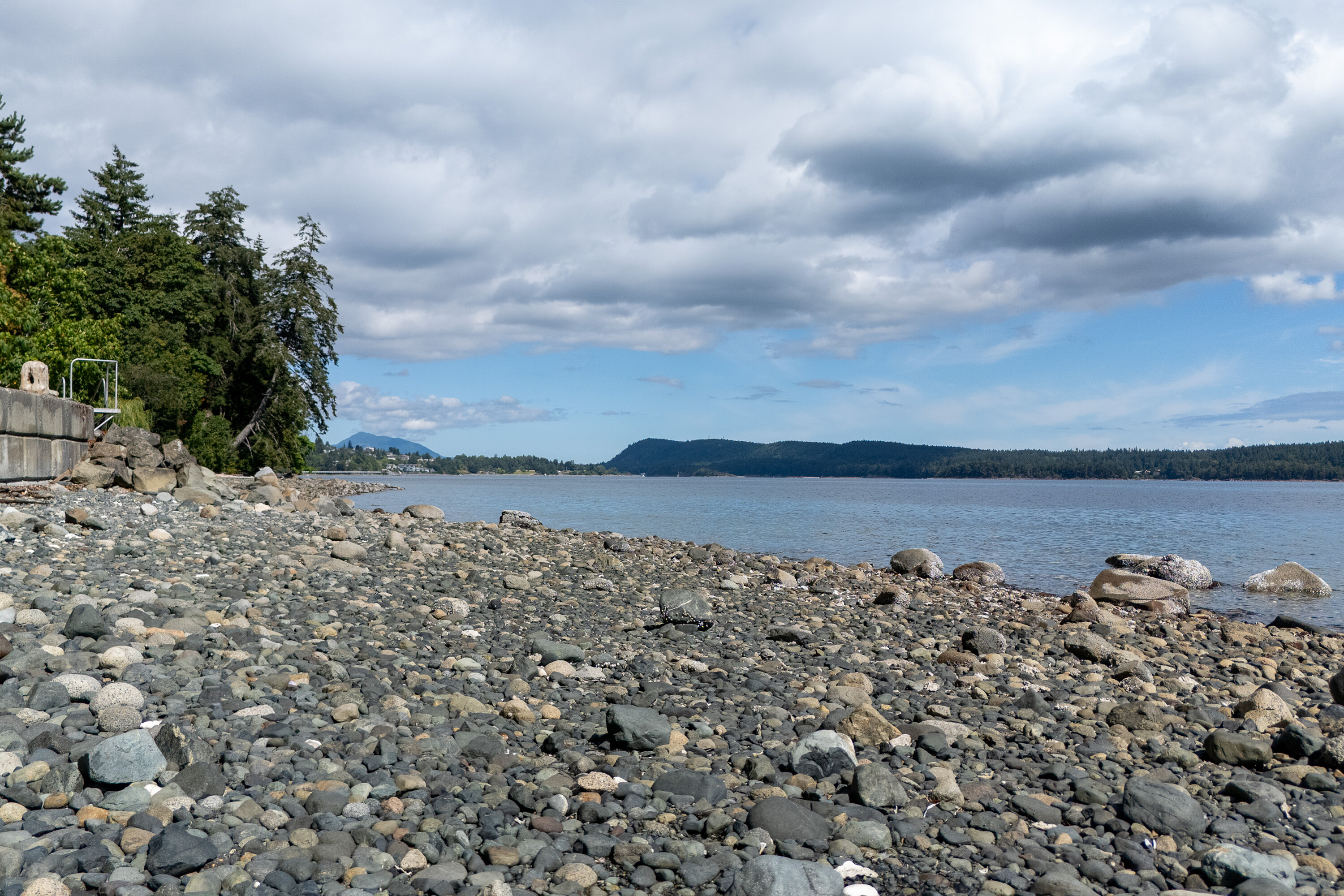  Oceanfront Lot in Saltair - 物件實景
