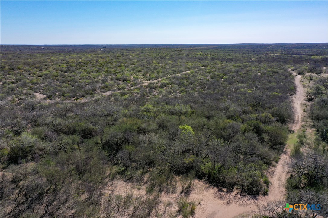 George West, Texas, 78022, United States, ,Land,For Sale,1738703