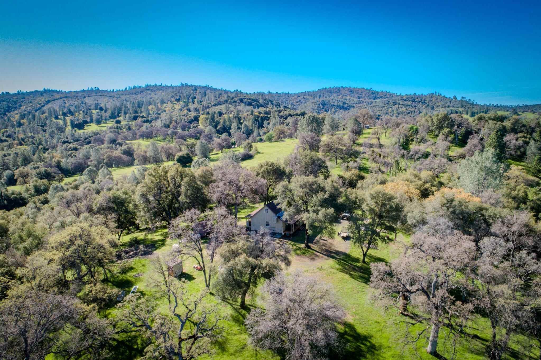 16551 Wards Ferry Rd, Big Oak Flat, California, 95305, United States, ,Land,For Sale,16551 Wards Ferry Rd,1554958