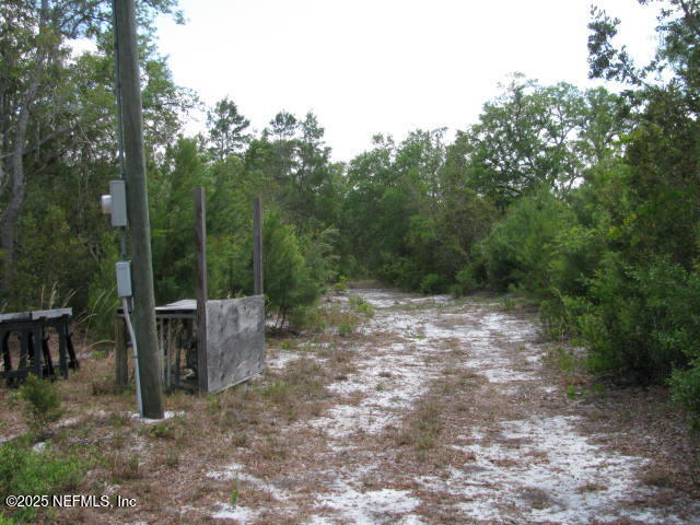 DeLeon Springs, Florida, 32130, United States, ,Land,For Sale,1978390
