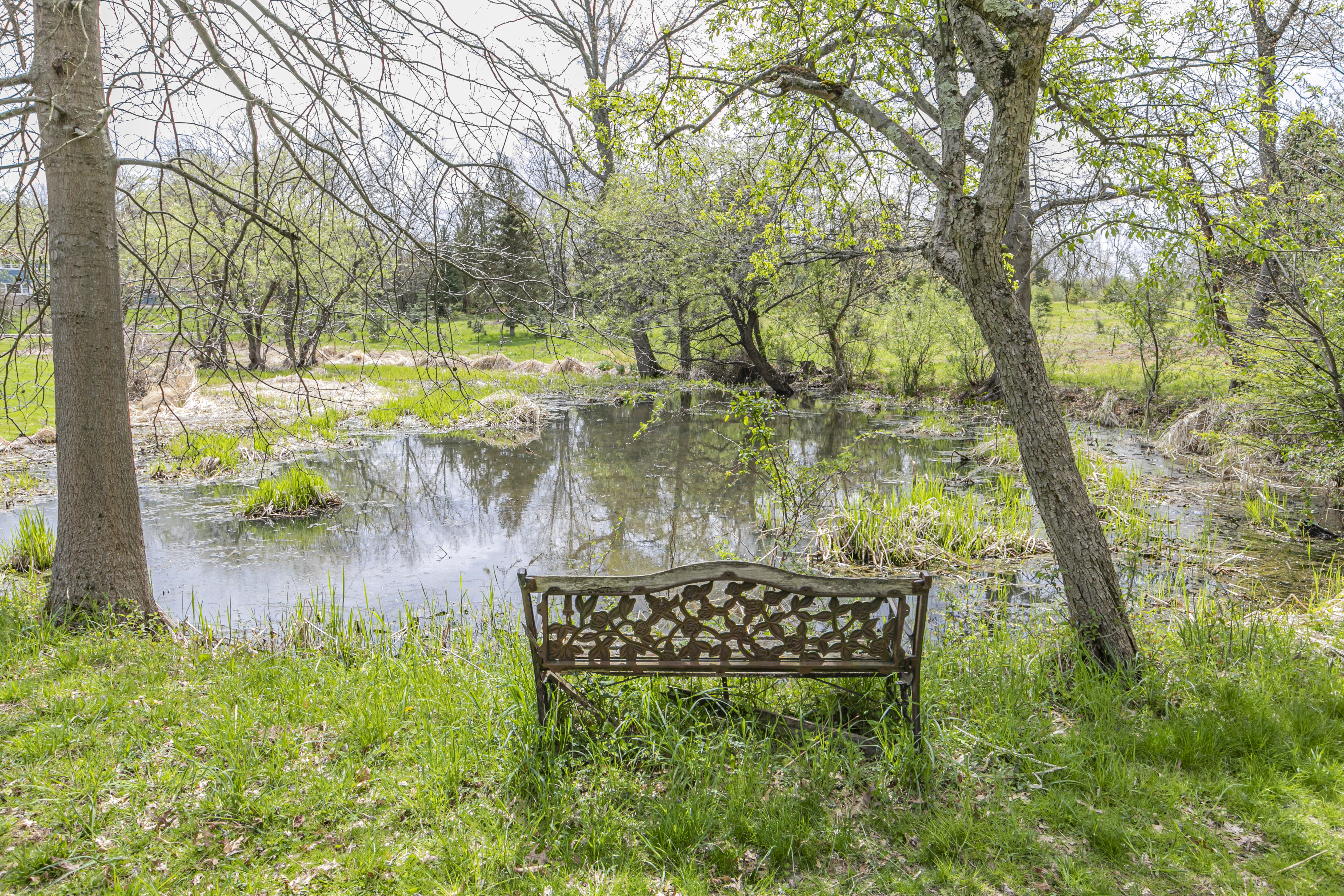  Rustic Luxury on the Canal - 物件實景