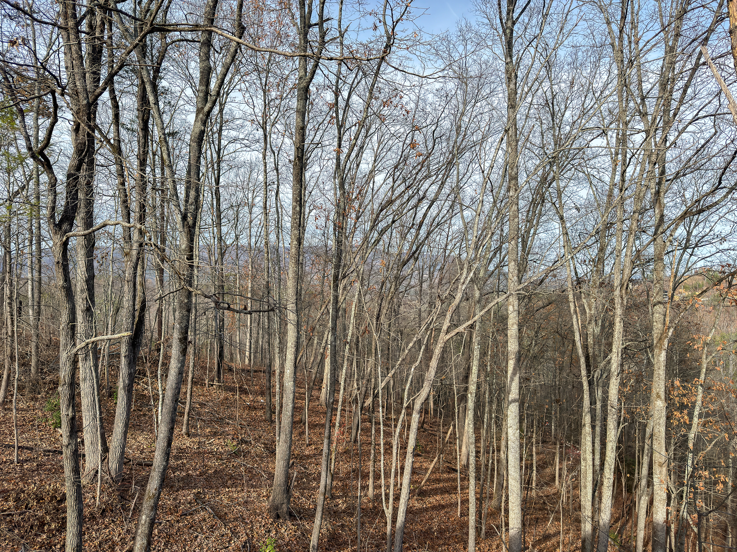 Sevierville, Tennessee, 37862, United States, 5 Bedrooms Bedrooms, ,7 BathroomsBathrooms,Residential,For Sale,2000383