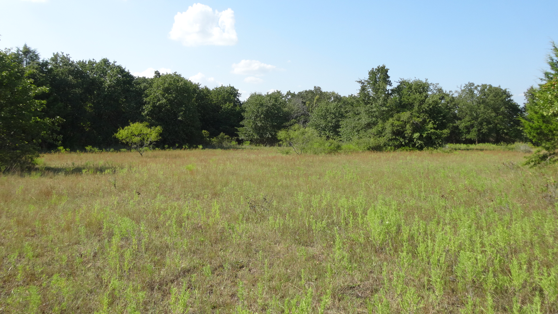 0 Highway 114, Boyd, Texas, 76023, United States, ,Residential,For Sale,0 Highway 114,1008641