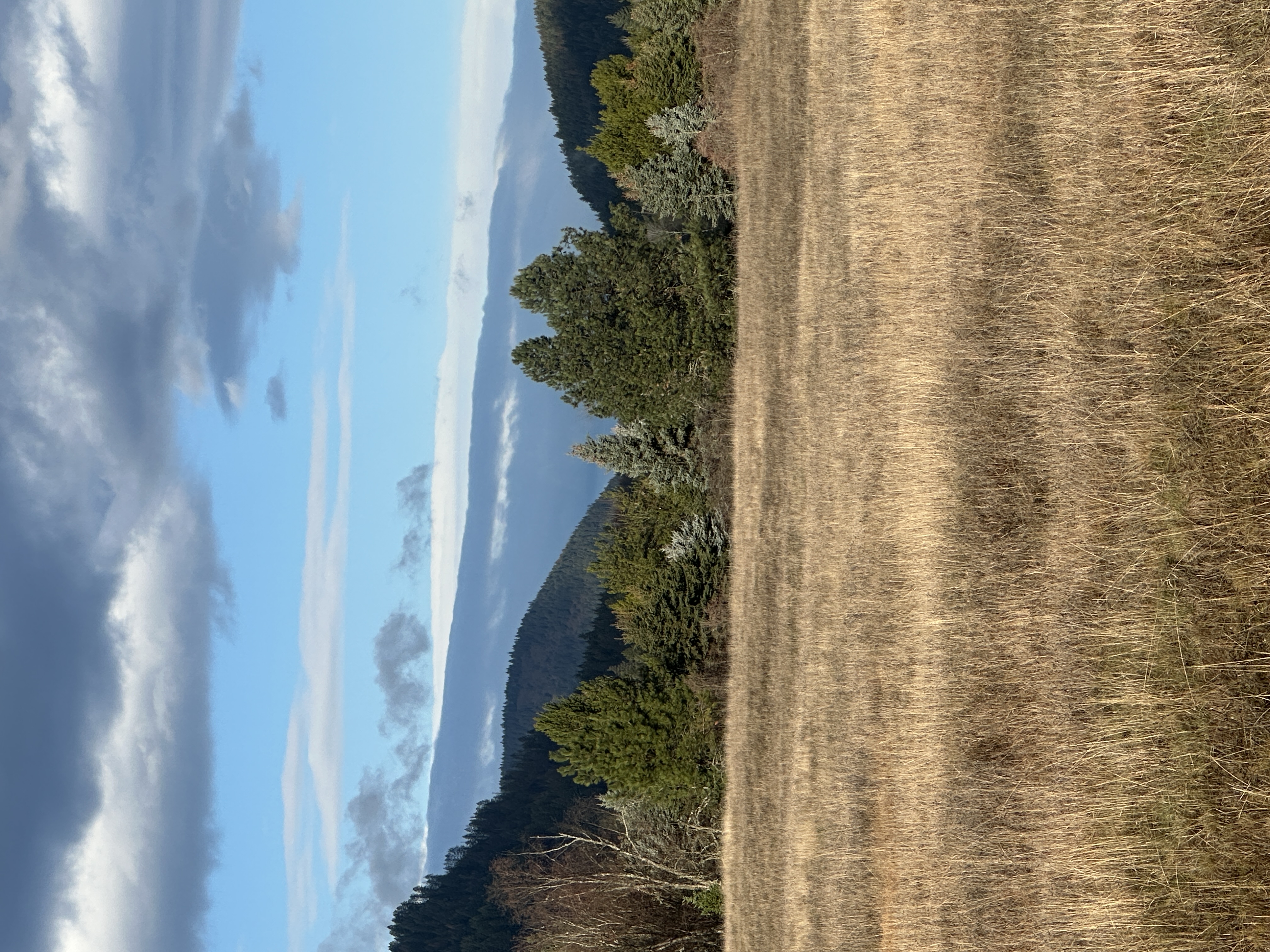 Priest River, Idaho, 83856, United States, ,Land,For Sale,2006127