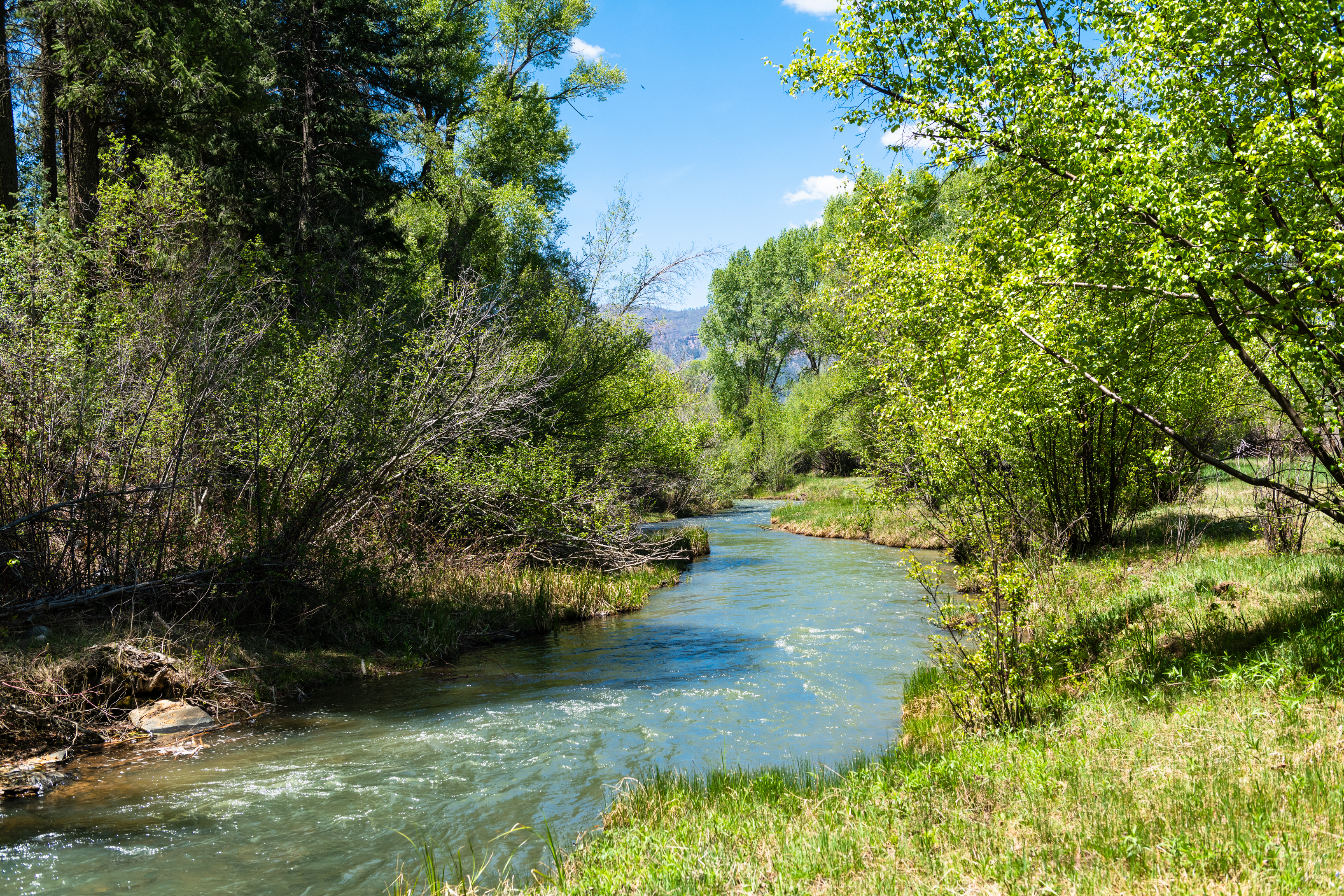  9907 County Road 250, Durango, CO 81301 - 物件實景
