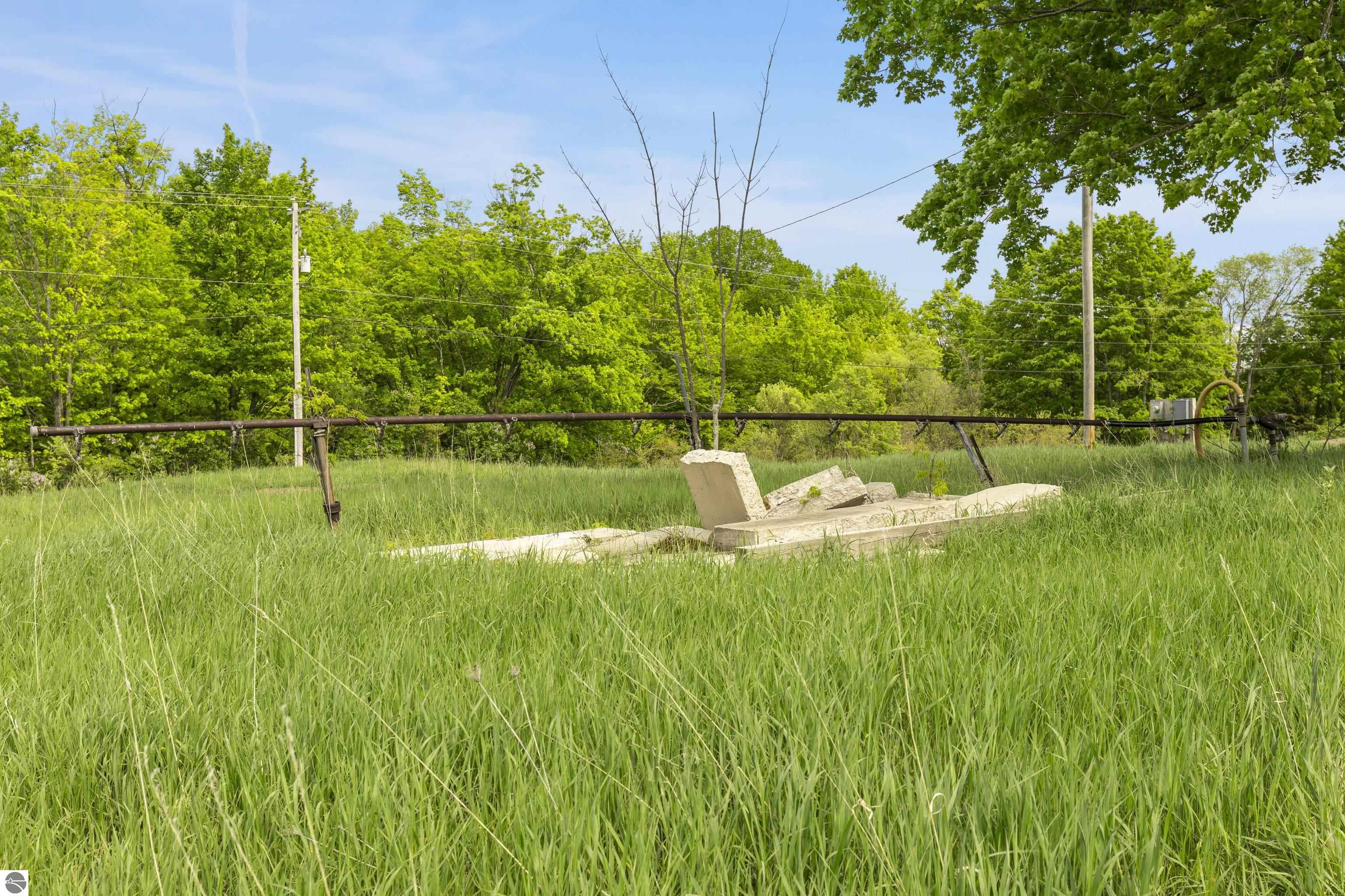 Beulah, Michigan, 49617, United States, ,Land,For Sale,1938552