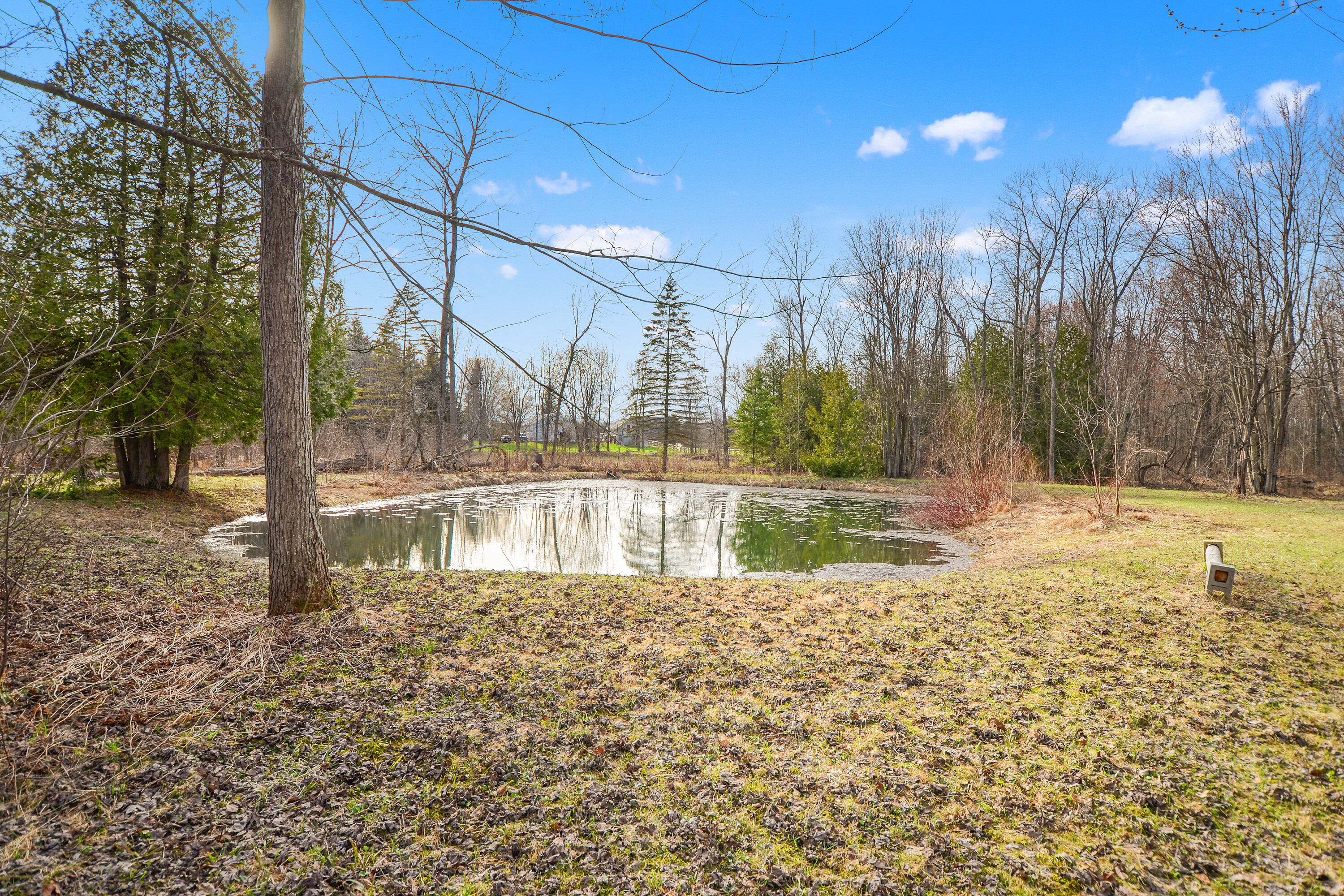  93 Pristine Acres of Privacy - 物件實景