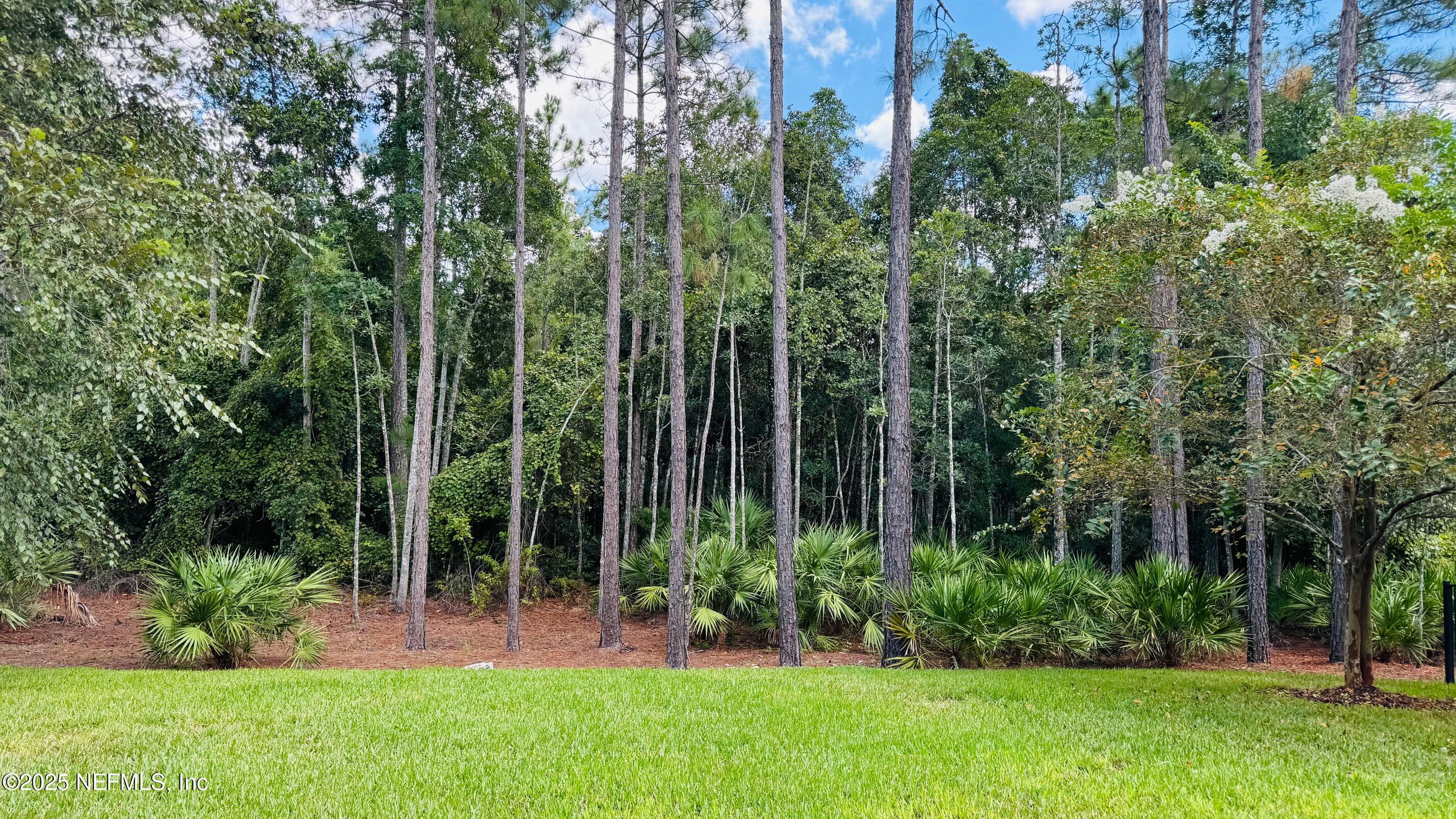 St. Johns, Florida, 32259, United States, 5 Bedrooms Bedrooms, ,4 BathroomsBathrooms,Residential,For Sale,1947063