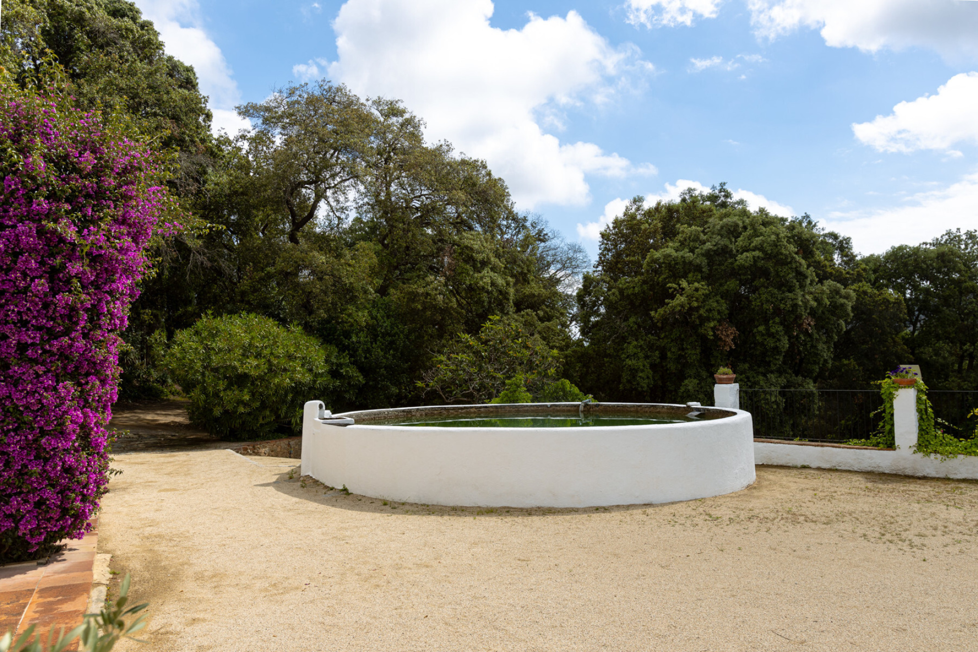  Architectural jewel of the XVI century in a natural park. - 物件實景