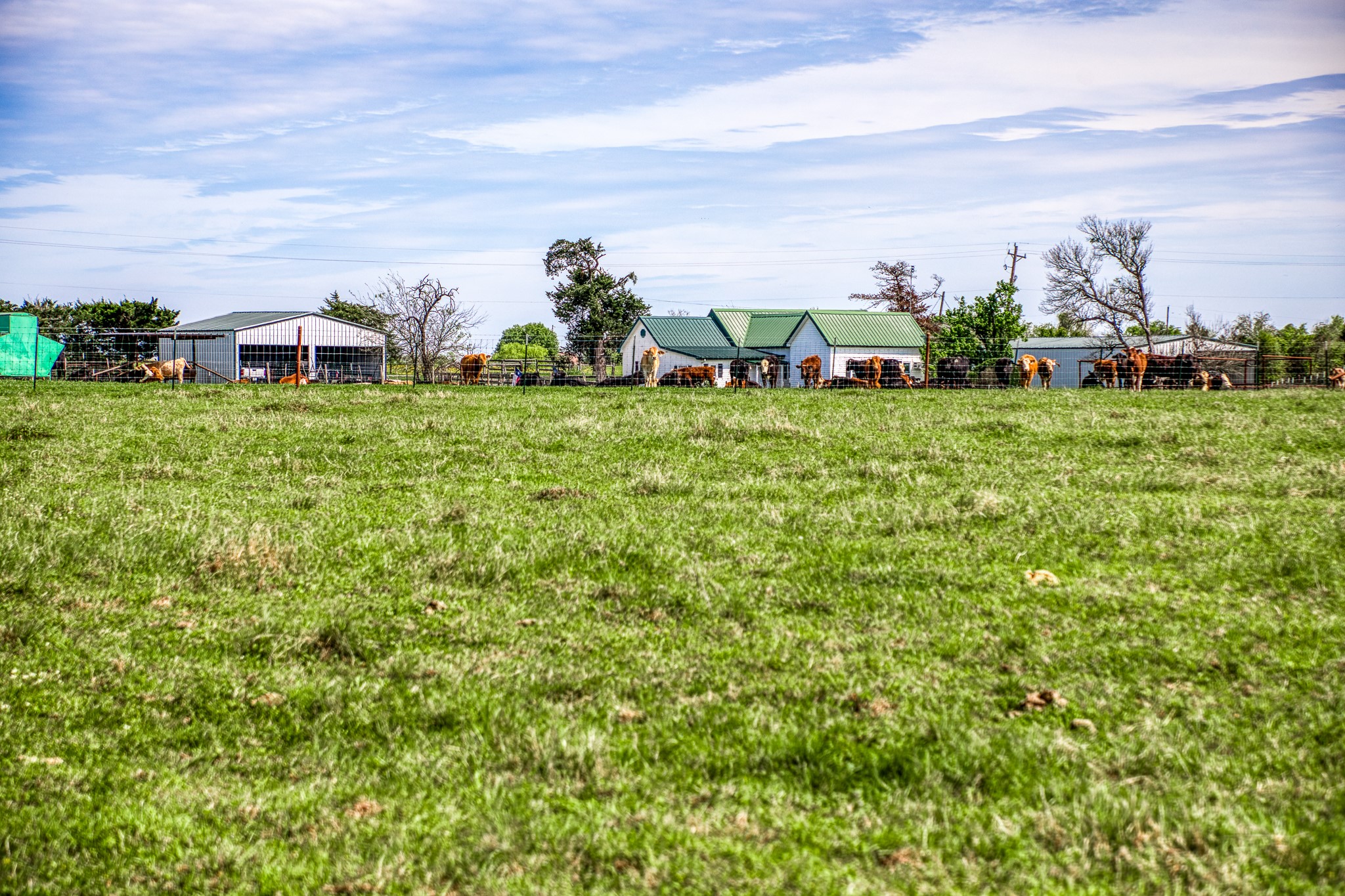  20751 Fm 1155, Washington, TX, 77880 - 物件實景