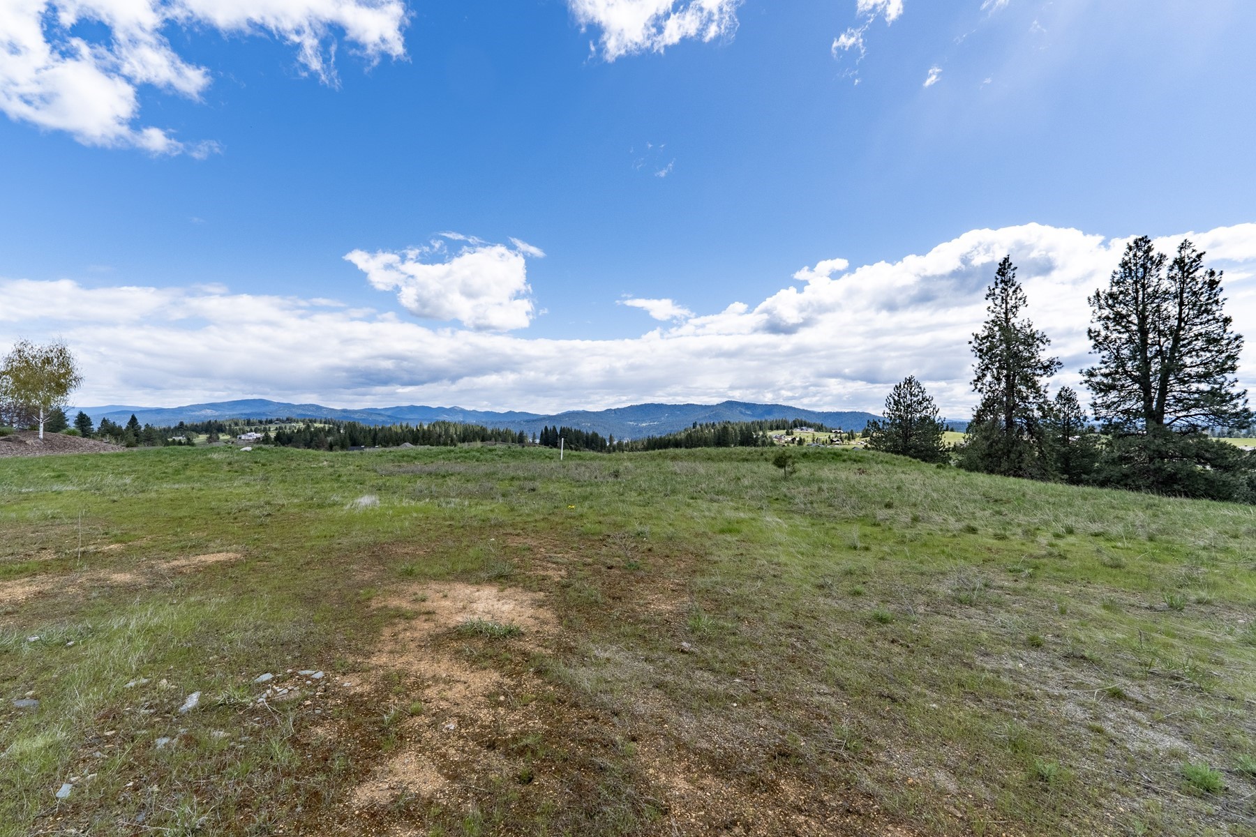  Pinot Place Potential - 物件實景