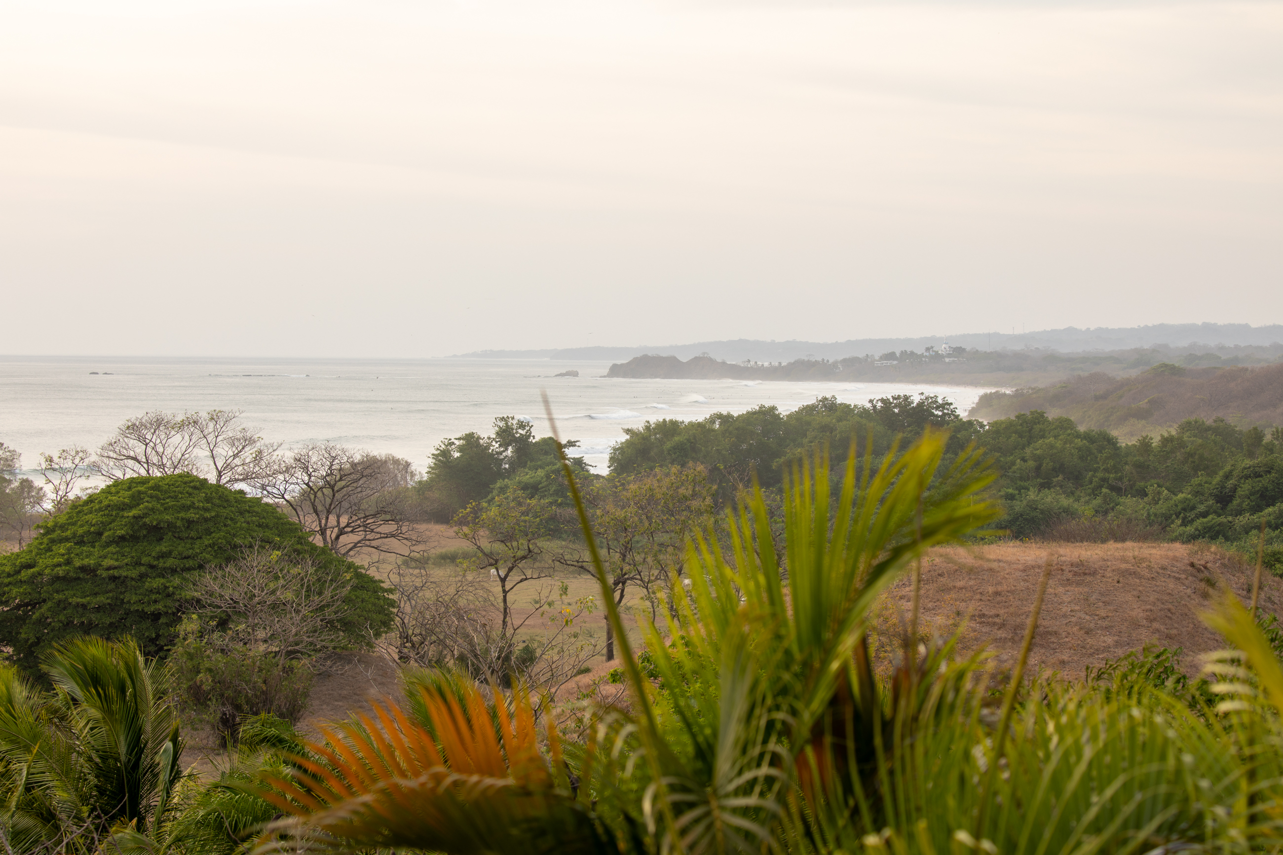 Nosara, Guanacaste, CR, 16 Bedrooms Bedrooms, ,9 BathroomsBathrooms,Residential,For Sale,1587974