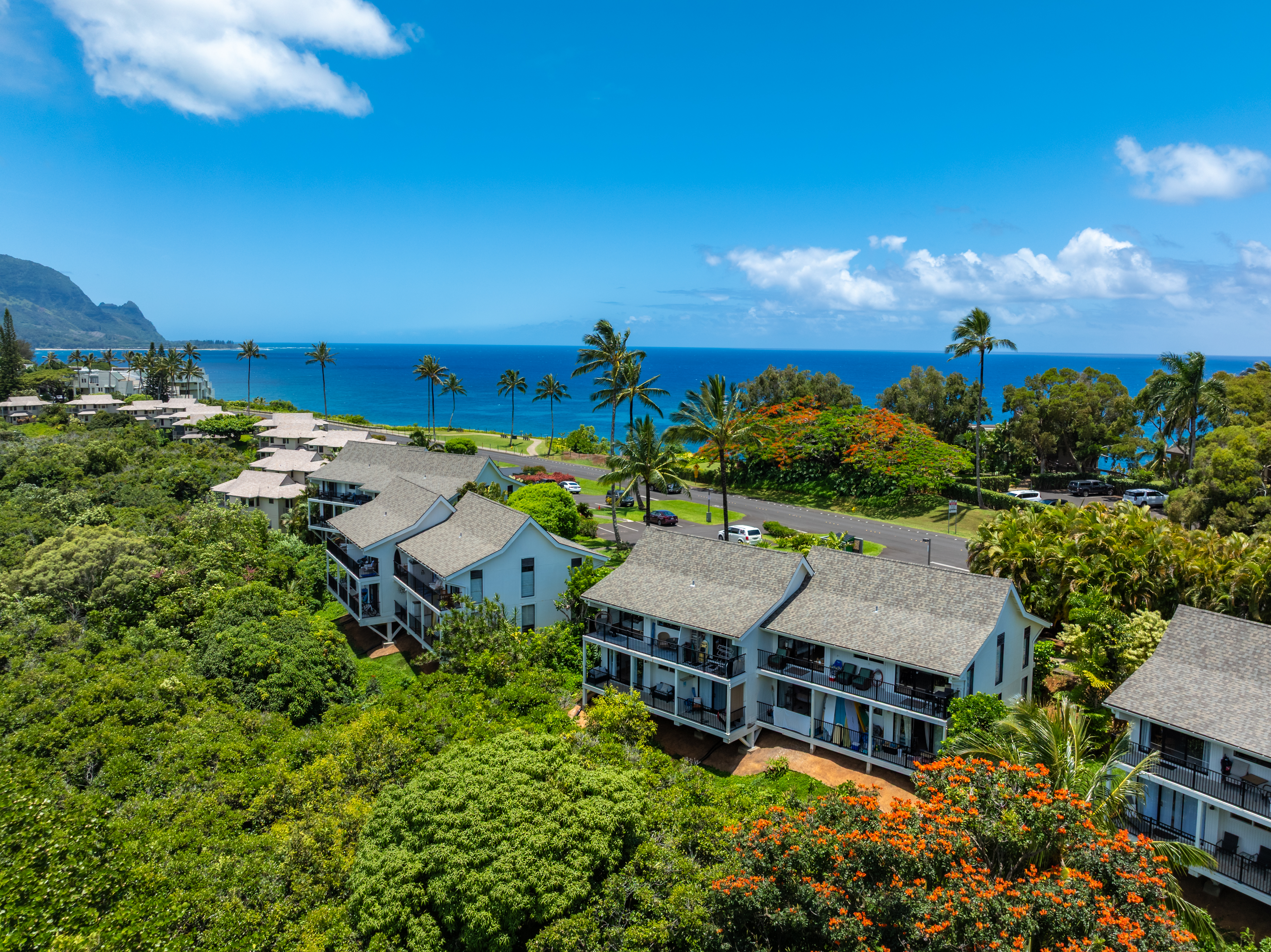  5301 Ka Haku Rd, Princeville, HI, 96722 - 物件實景