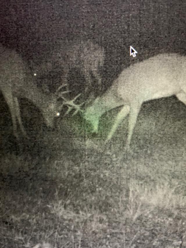 Big Rapids, Michigan, 49307, United States, 3 Bedrooms Bedrooms, ,2 BathroomsBathrooms,Residential,For Sale,1951282