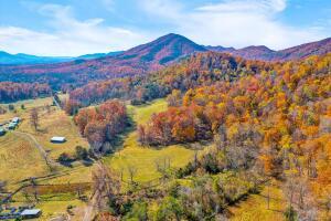 Fincastle, Virginia, 24090, United States, ,Residential,For Sale,1989448