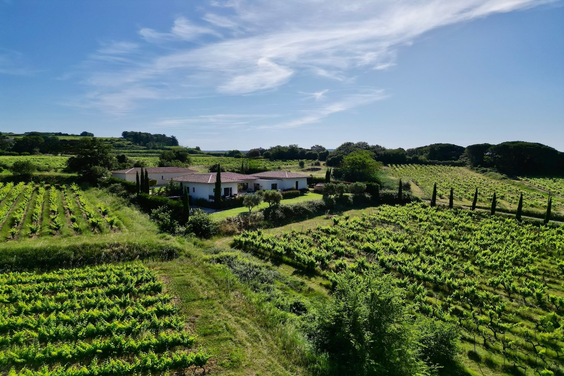  Elegant contemporary villa in the heart of the vineyards, 20 minutes from Uzès,… - 物件實景