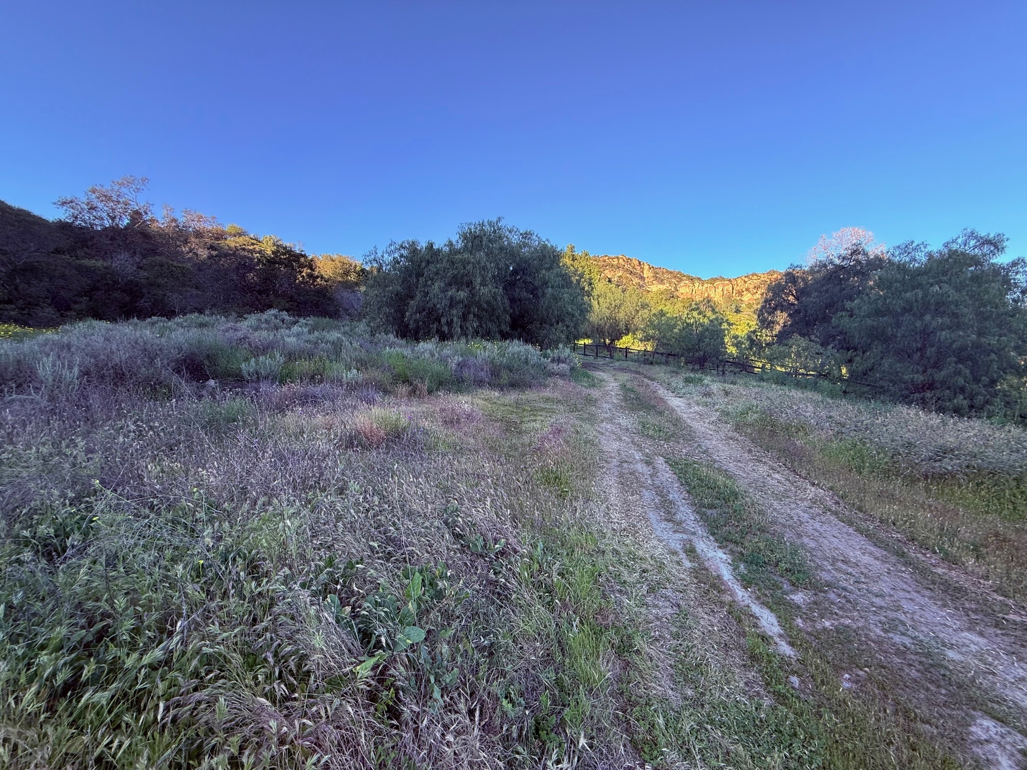  23629 Zuniga Rd - 物件實景