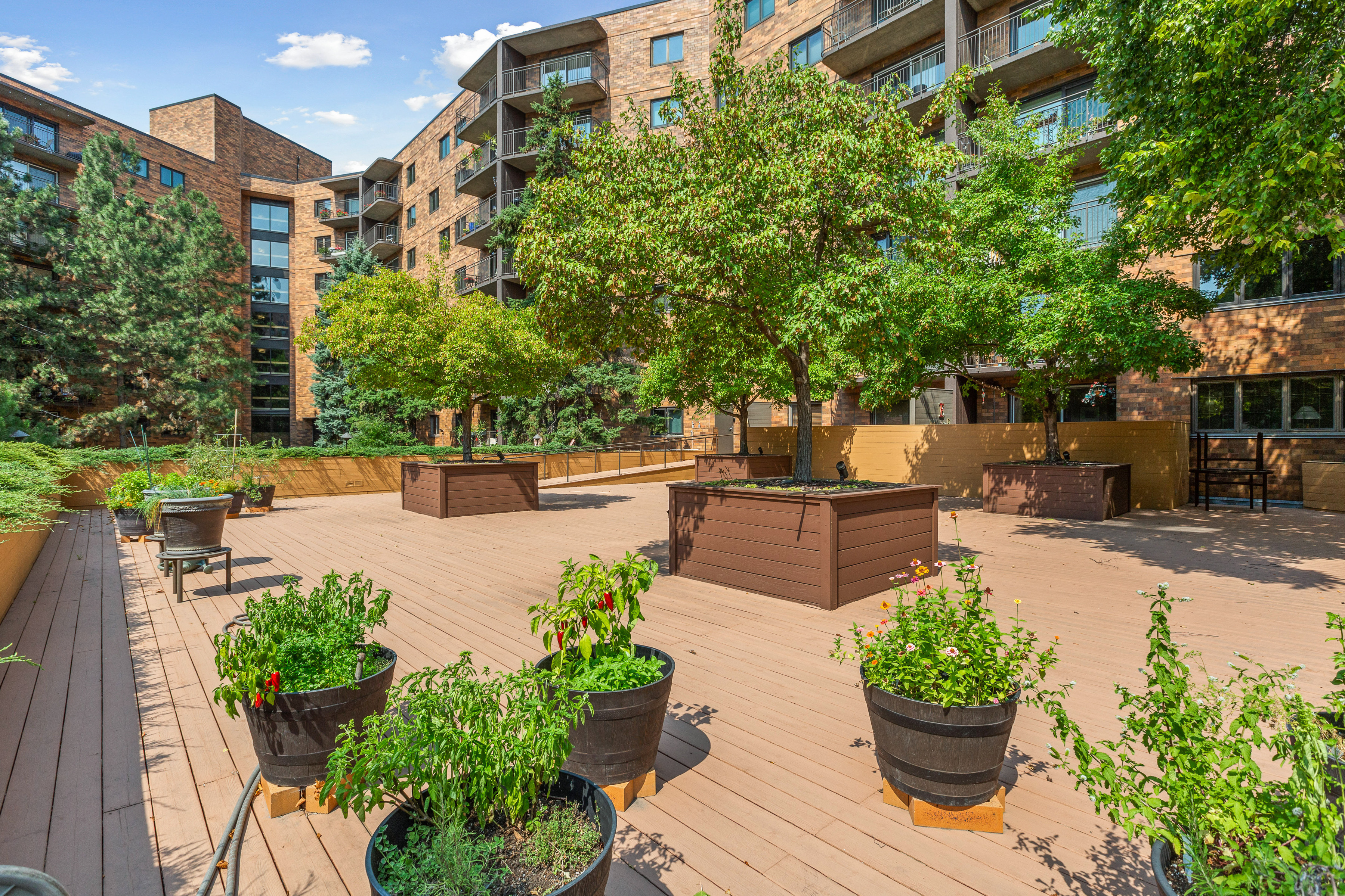  Beautifully Renovated Living Near Loring Park - 物件實景
