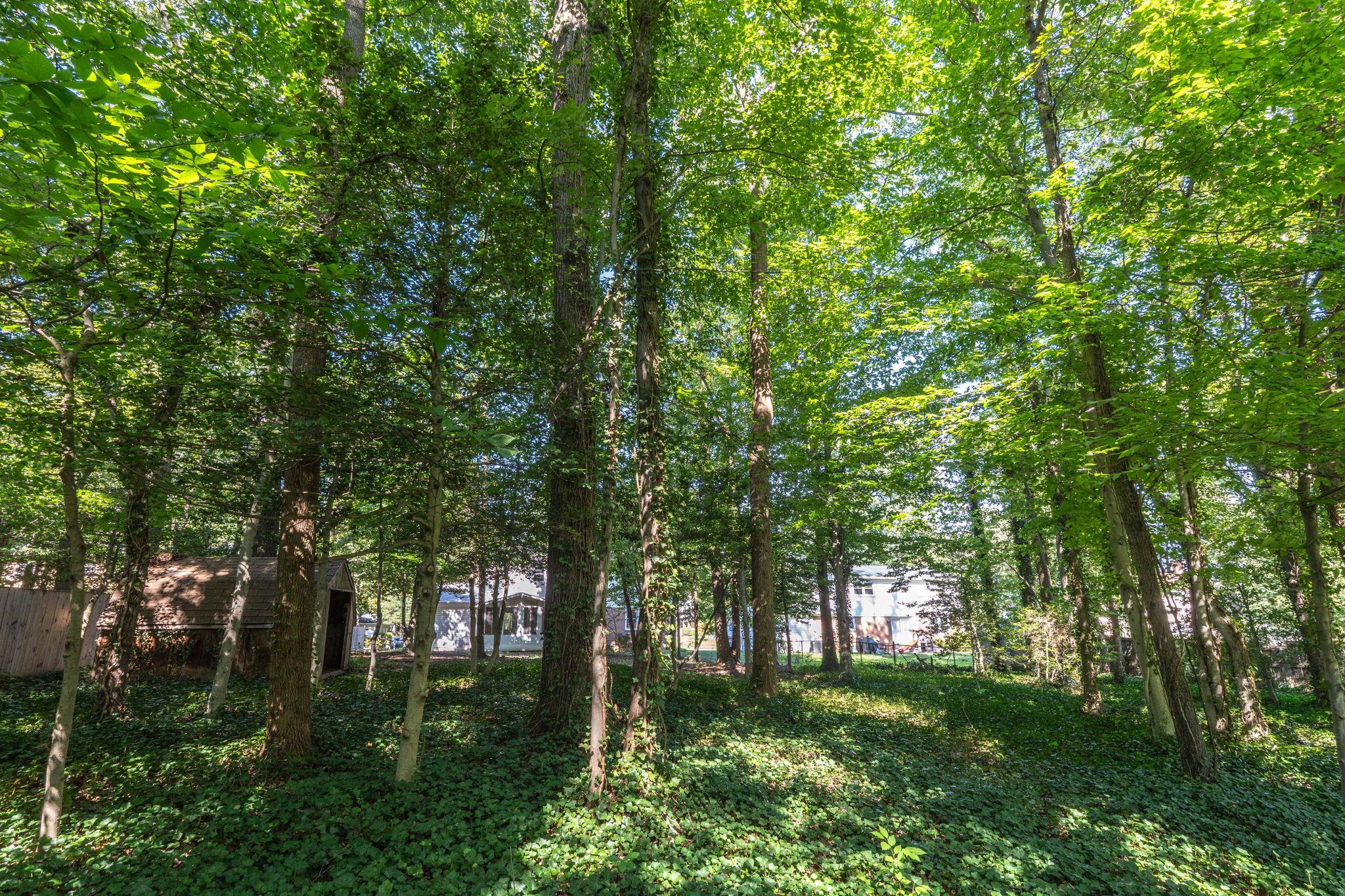  6905 Huntsman Boulevard, Springfield, VA, 22153 - 物件實景