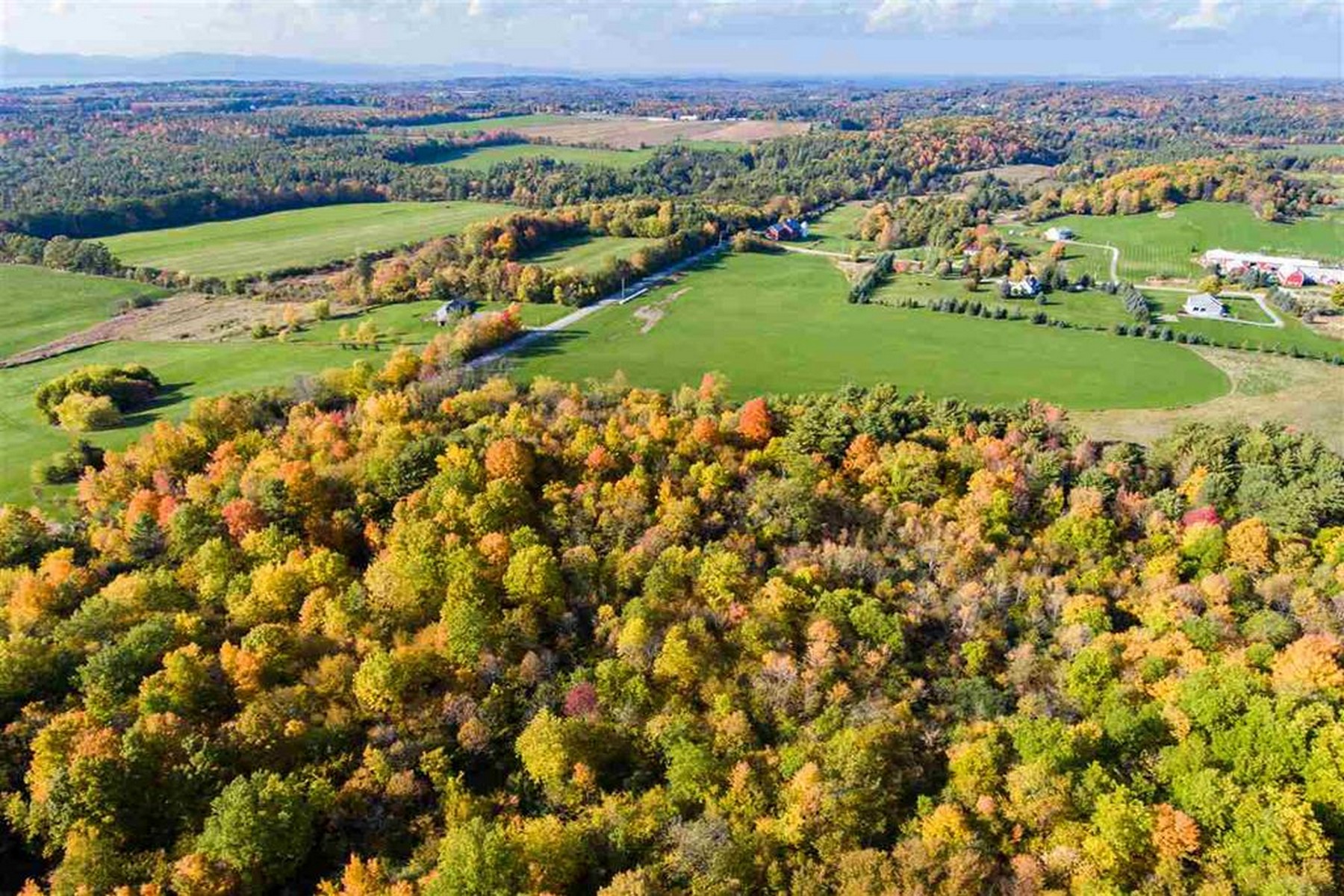 1555 Spear Street - 物件實景