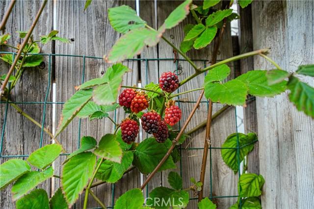 Riverside, California, 92503, United States, 3 Bedrooms Bedrooms, ,1 BathroomBathrooms,Residential,For Sale,1991391