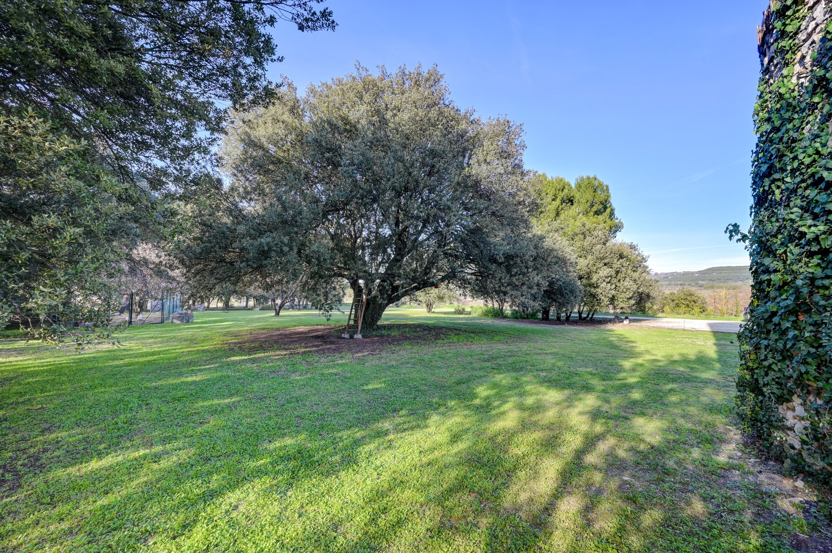  Property combining character, volumes and quality of life - 物件實景