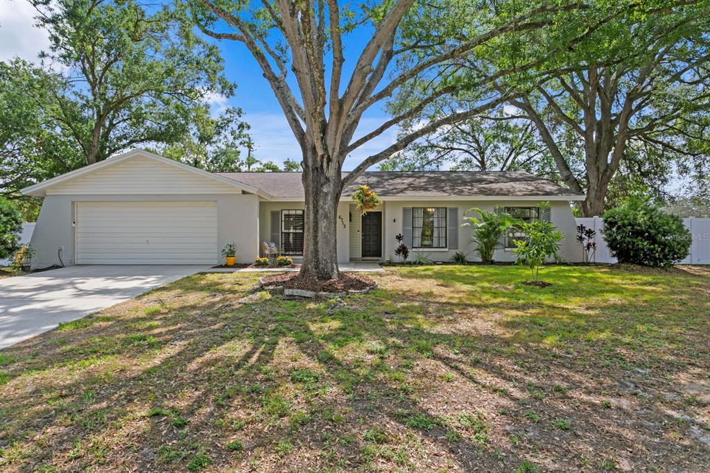 Temple Terrace, Florida, 33617, United States, 4 Bedrooms Bedrooms, ,3 BathroomsBathrooms,Residential,For Sale,1805472