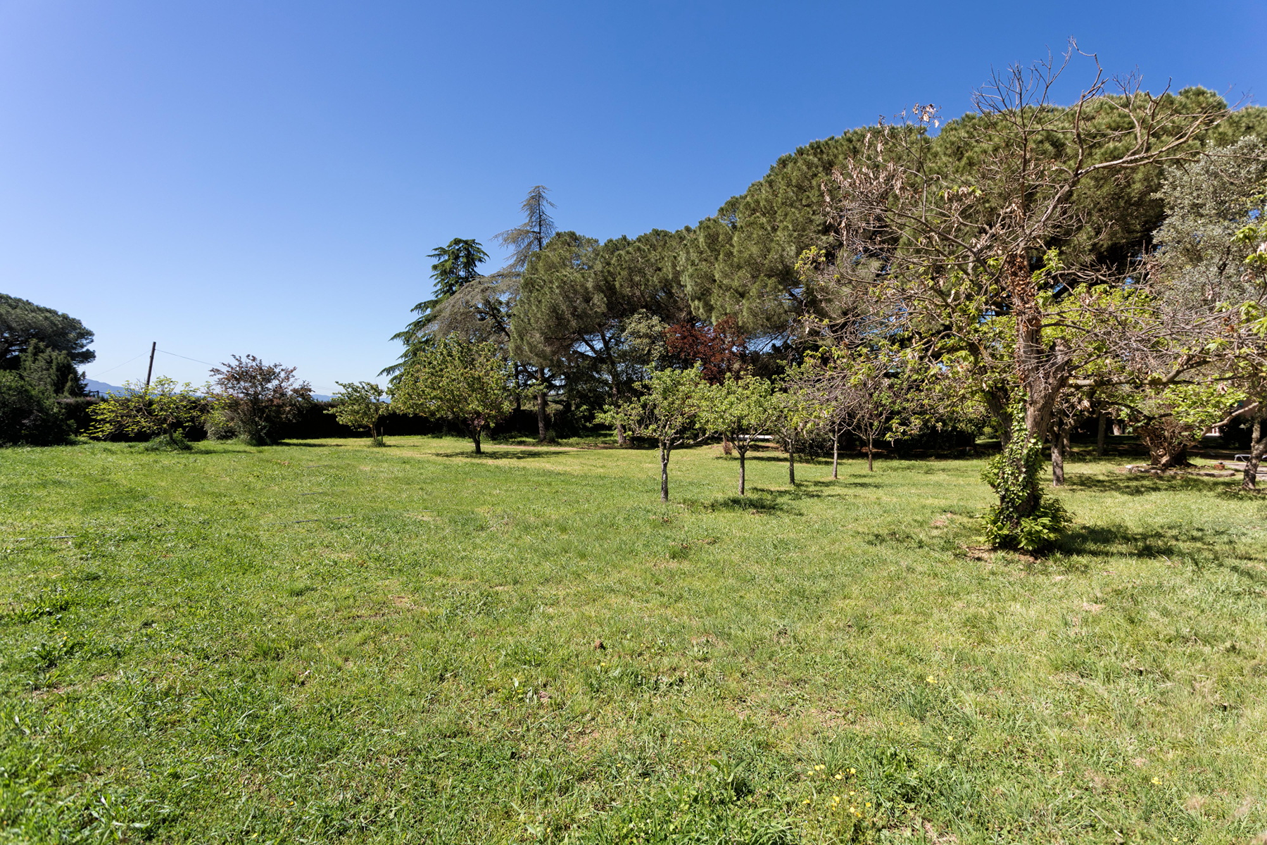  Exclusive country estate near Barcelona with tourist rental license - 物件實景