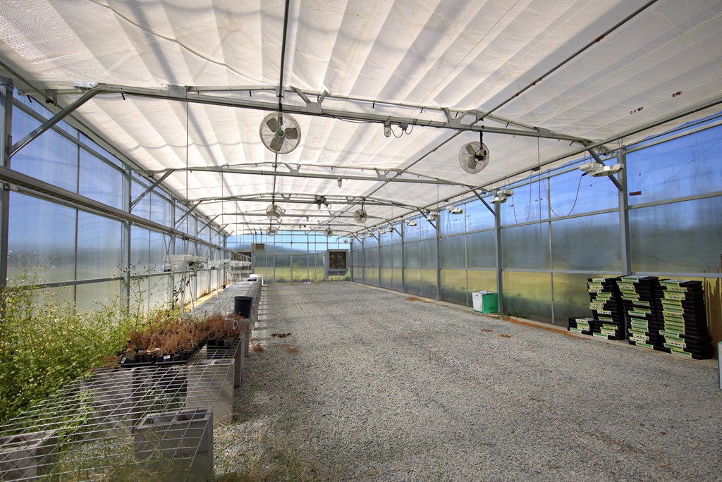 Pavo, Georgia, 31778, United States, ,Residential,For Sale,1988640