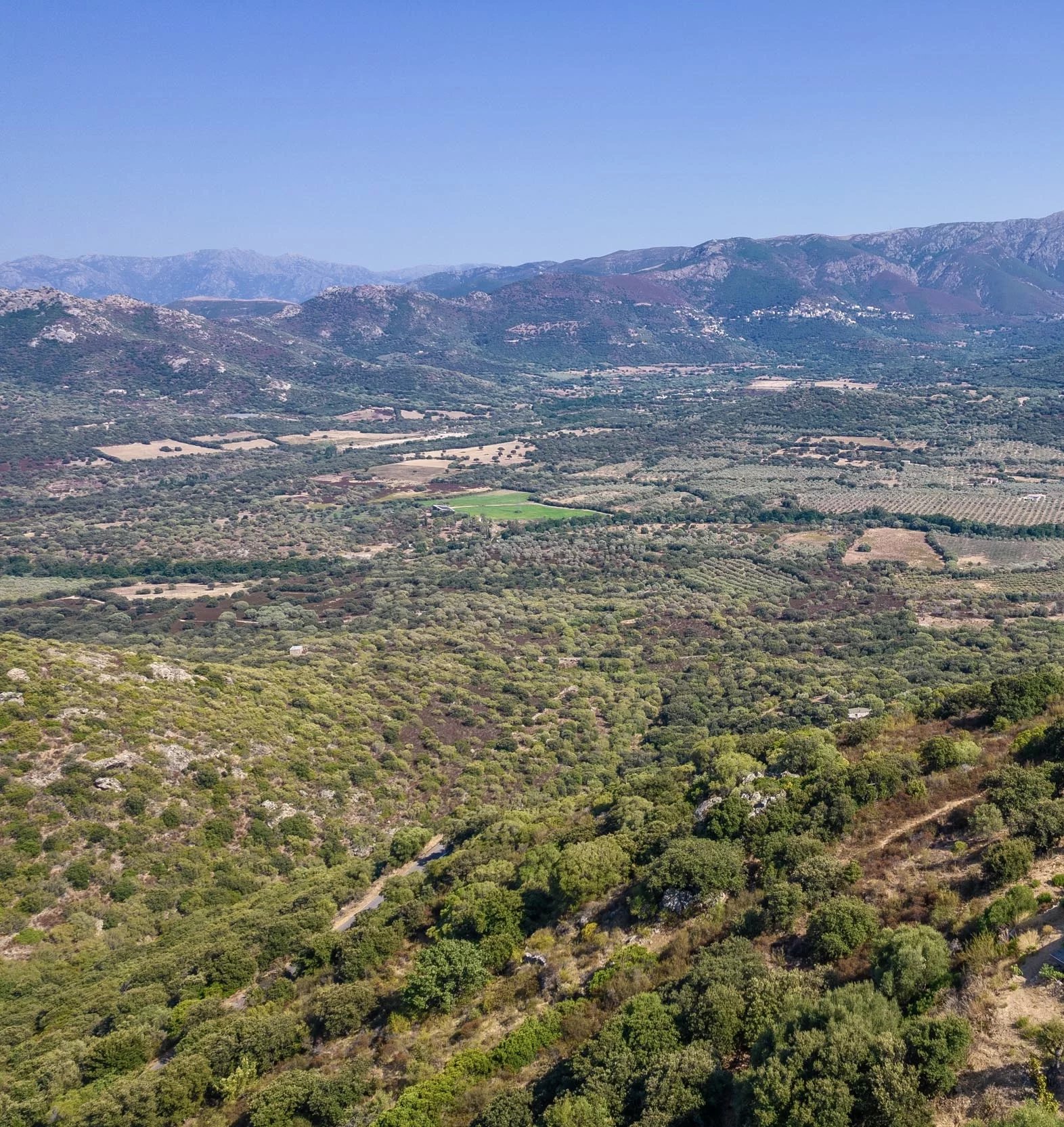 Monticello, Corsica, 20220, FR, ,Land,For Sale,1966226