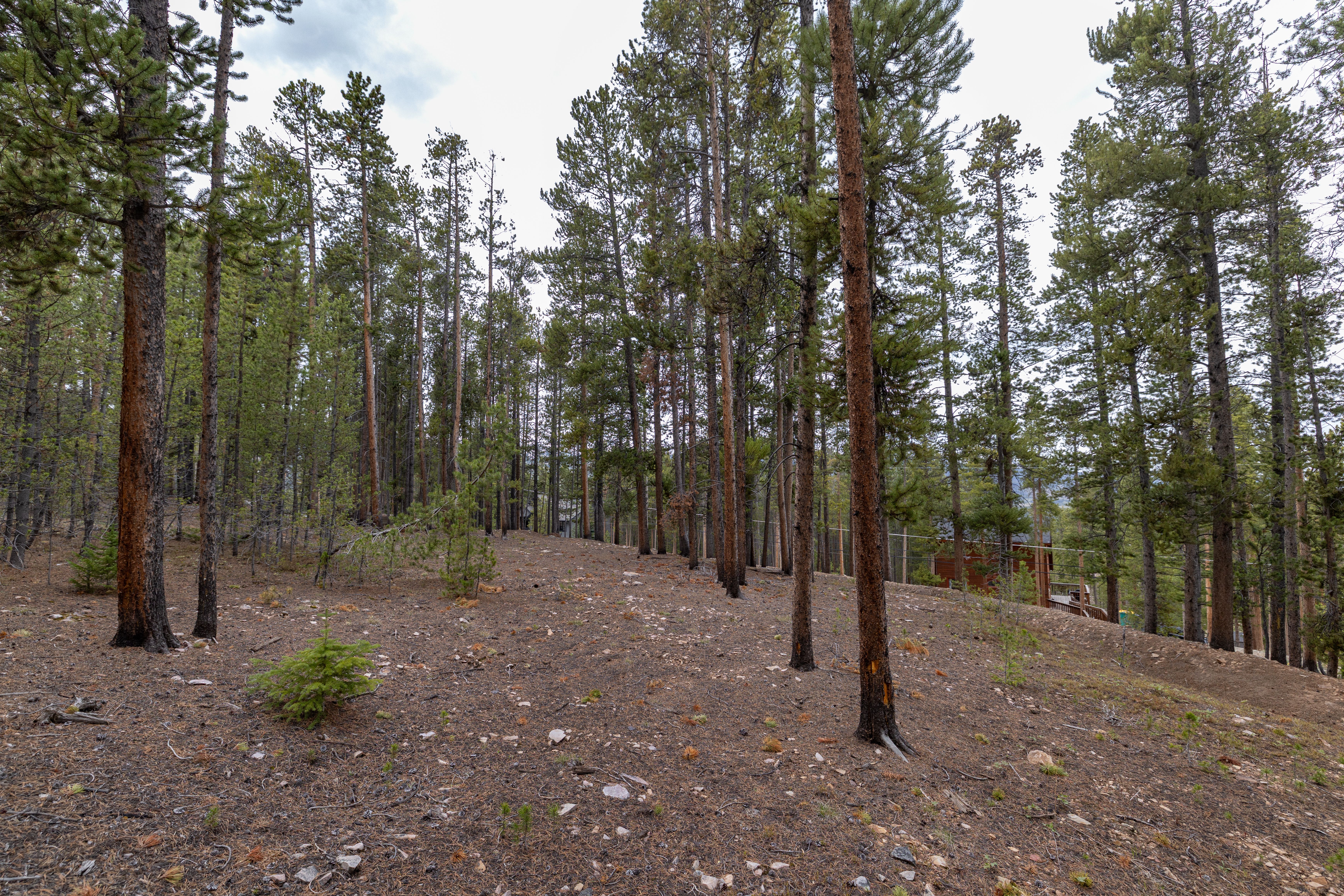  Prime Large Breckenridge Homesite in an Exceptional Location - 物件實景