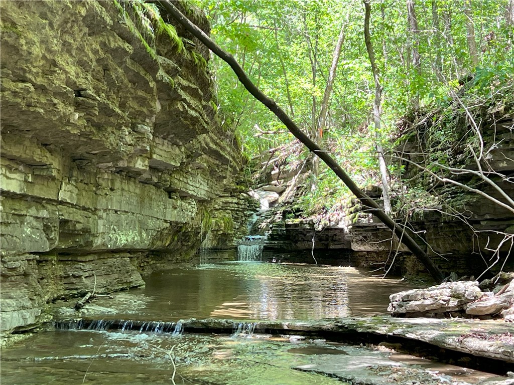 Garfield, Arkansas, 72732, United States, ,Land,For Sale,1804669