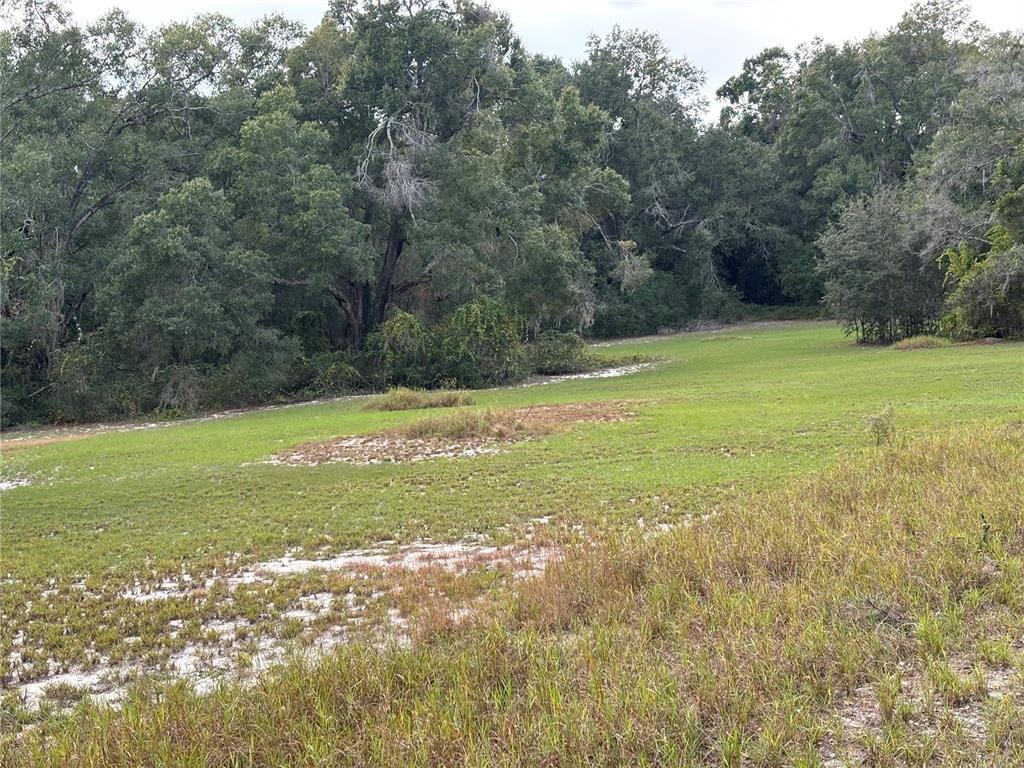 Apopka, Florida, 32712, United States, ,Land,For Sale,1998337