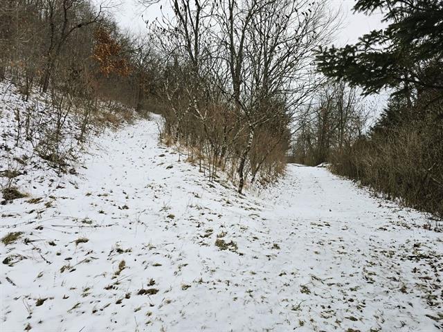 Gays Mills, Wisconsin, 54631, United States, 3 Bedrooms Bedrooms, ,3 BathroomsBathrooms,Residential,For Sale,2006070