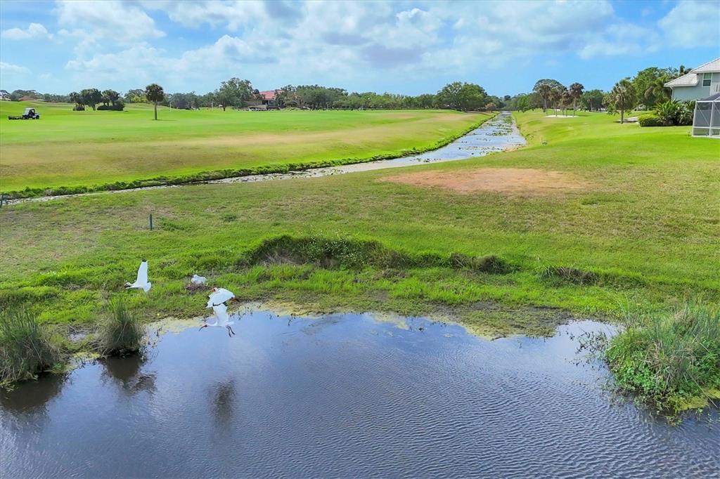 Sarasota, Florida, 34238, United States, 2 Bedrooms Bedrooms, ,2 BathroomsBathrooms,Residential,For Sale,1818711