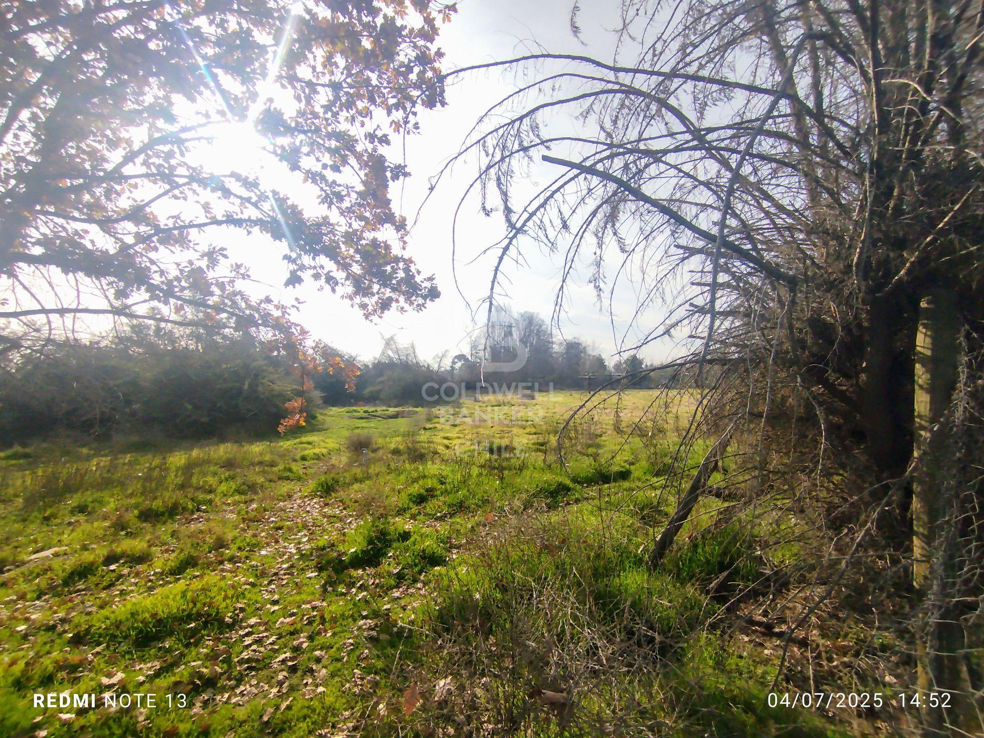 Colina, Chile, ,Residential,For Sale,1901771