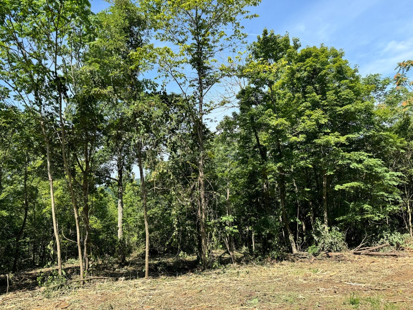 Somerset, Kentucky, 42501, United States, ,Residential,For Sale,1923151