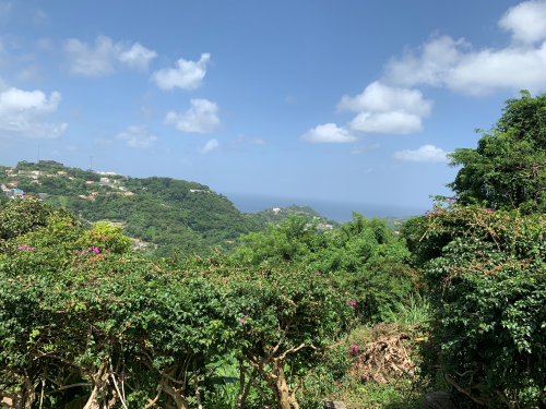 Africa/Madigras, St George, GD, 4 Bedrooms Bedrooms, ,5 BathroomsBathrooms,Residential,For Sale,Africa/Madigras,1612627