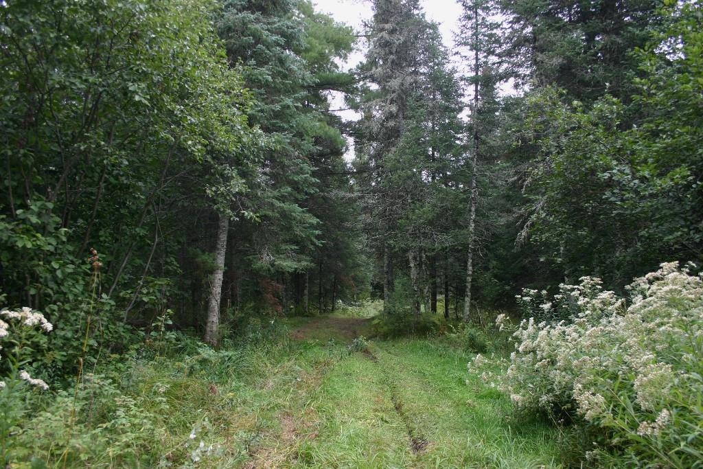 Butternut, Wisconsin, 54514, United States, ,Residential,For Sale,1921385