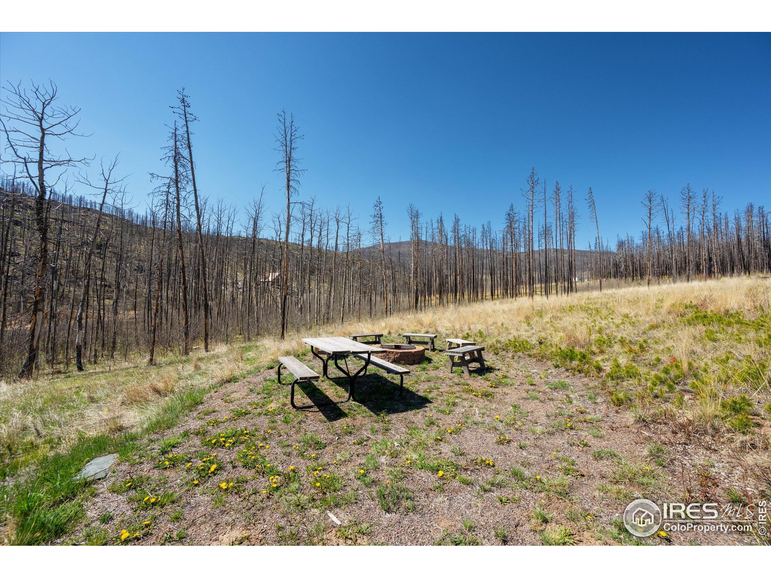 Bellvue, Colorado, 80512, United States, 1 Bedroom Bedrooms, ,Residential,For Sale,1826426
