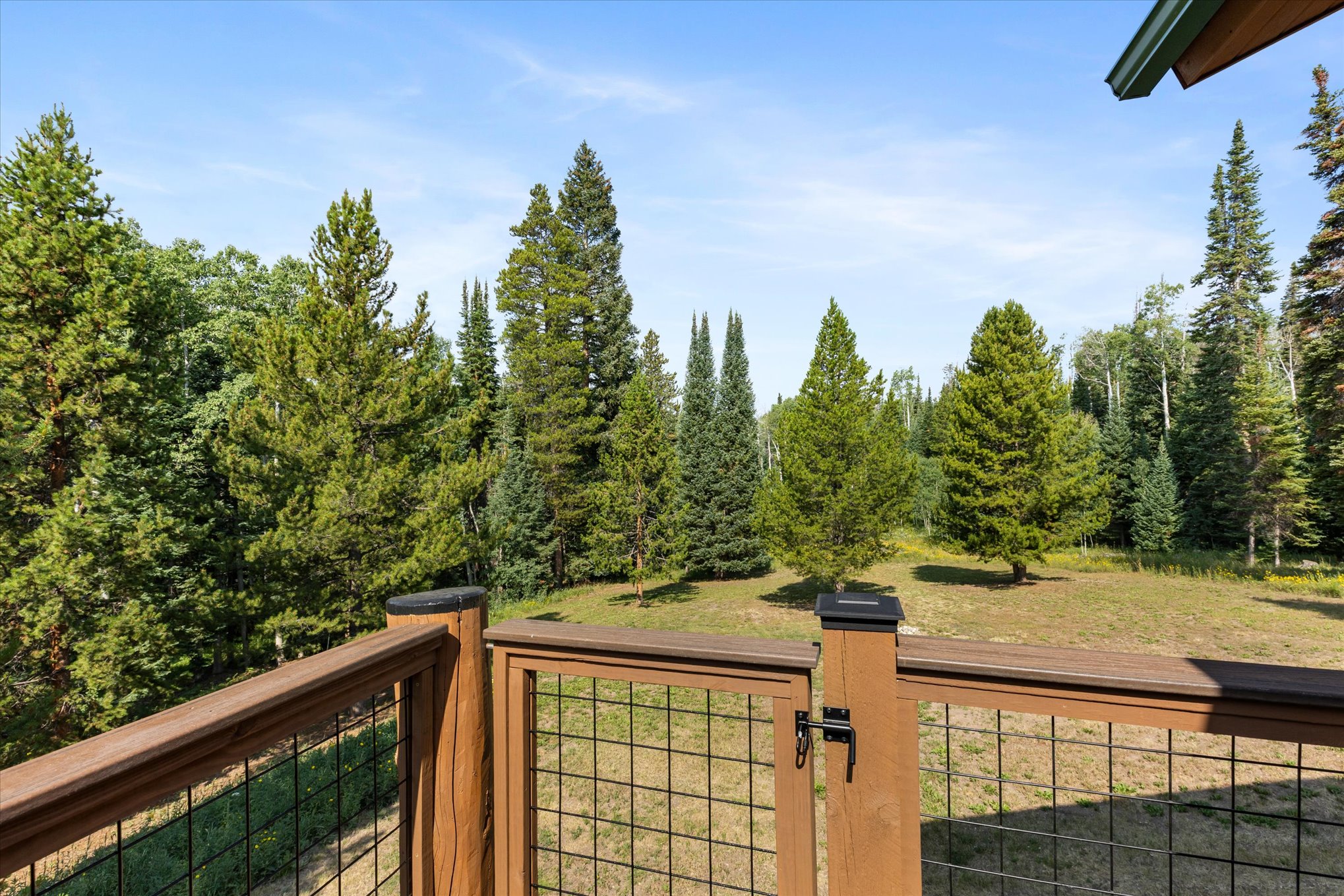  6.28-Acre North Routt Retreat - 物件實景