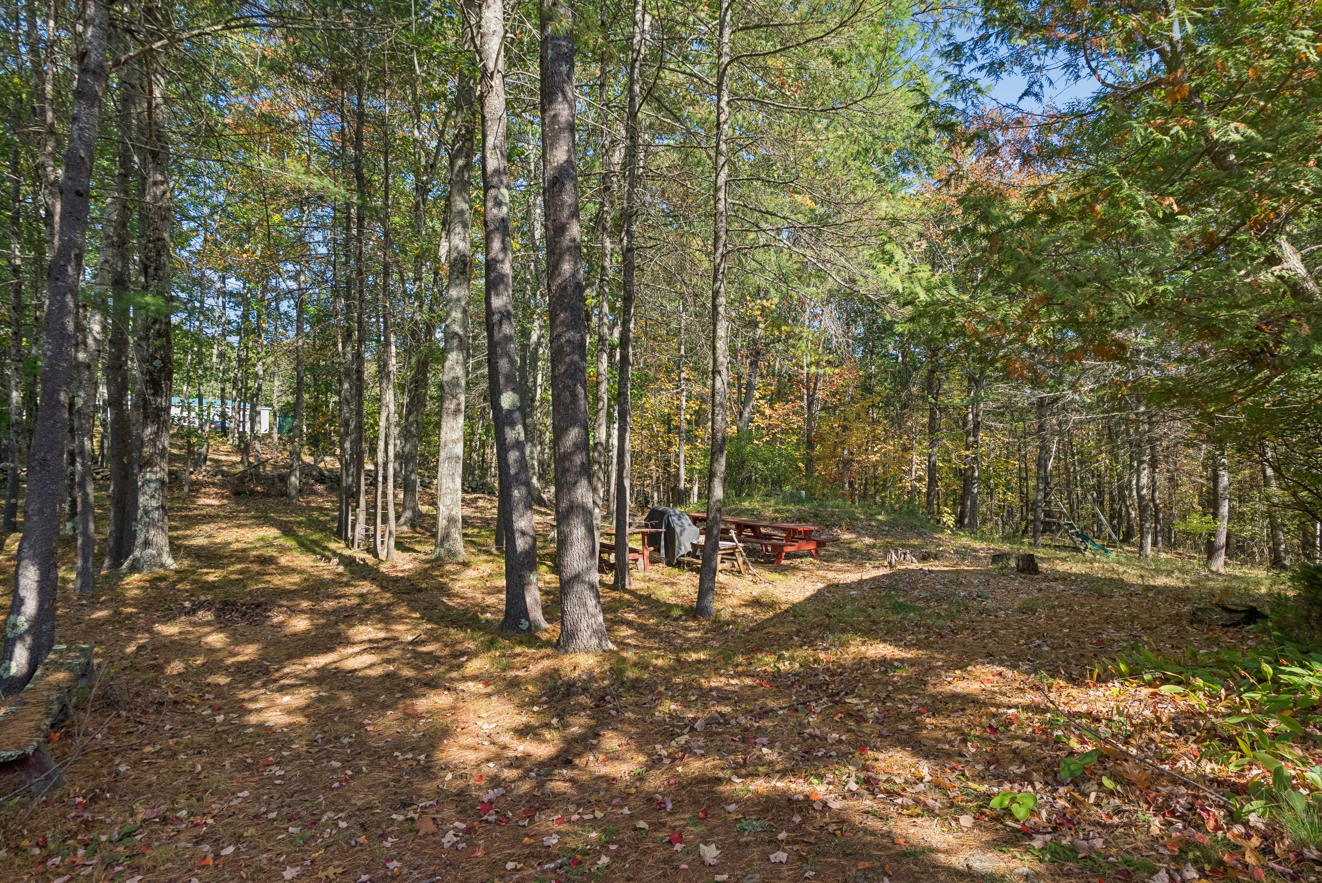  257 River Road, Richmond, ME 04357 - 物件實景