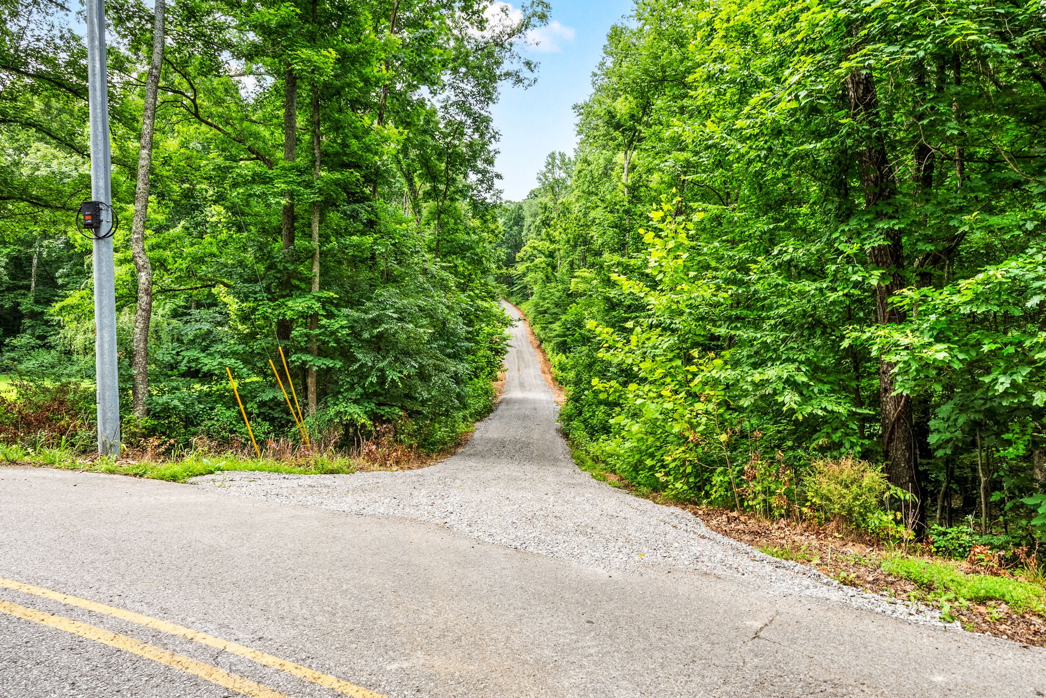  196 Wildlife Road, Dover, TN, 37058 - 物件實景