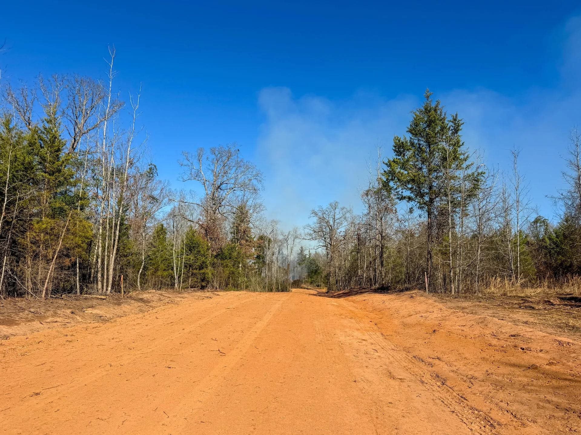 Linden, Texas, 75563, United States, ,Land,For Sale,2005293