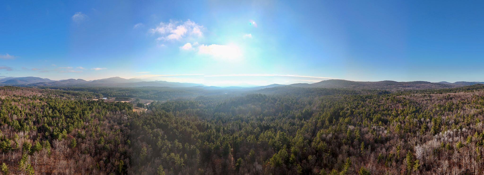 358 Buck Hill Road, Black Brook, New York, 12912, United States, ,Land,For Sale,358 Buck Hill Road,1668250