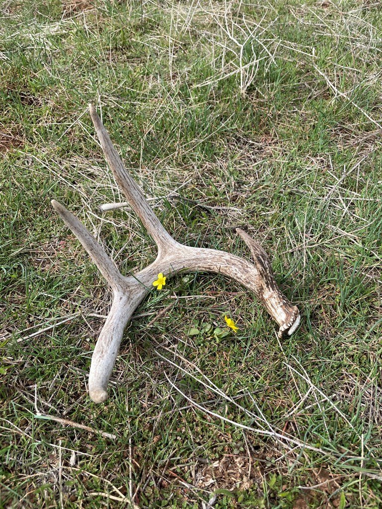 Council, Idaho, 83612, United States, ,Residential,For Sale,1980255