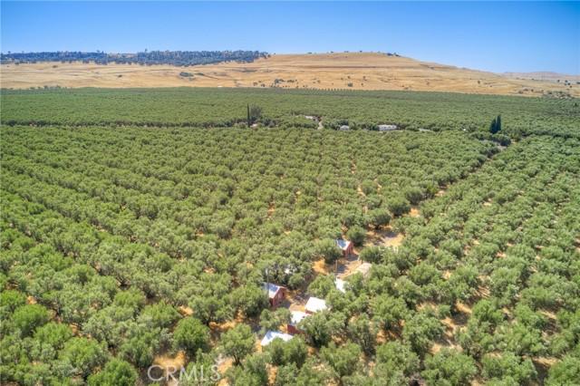 Oroville, California, 95965, United States, 2 Bedrooms Bedrooms, ,2 BathroomsBathrooms,Residential,For Sale,1978871