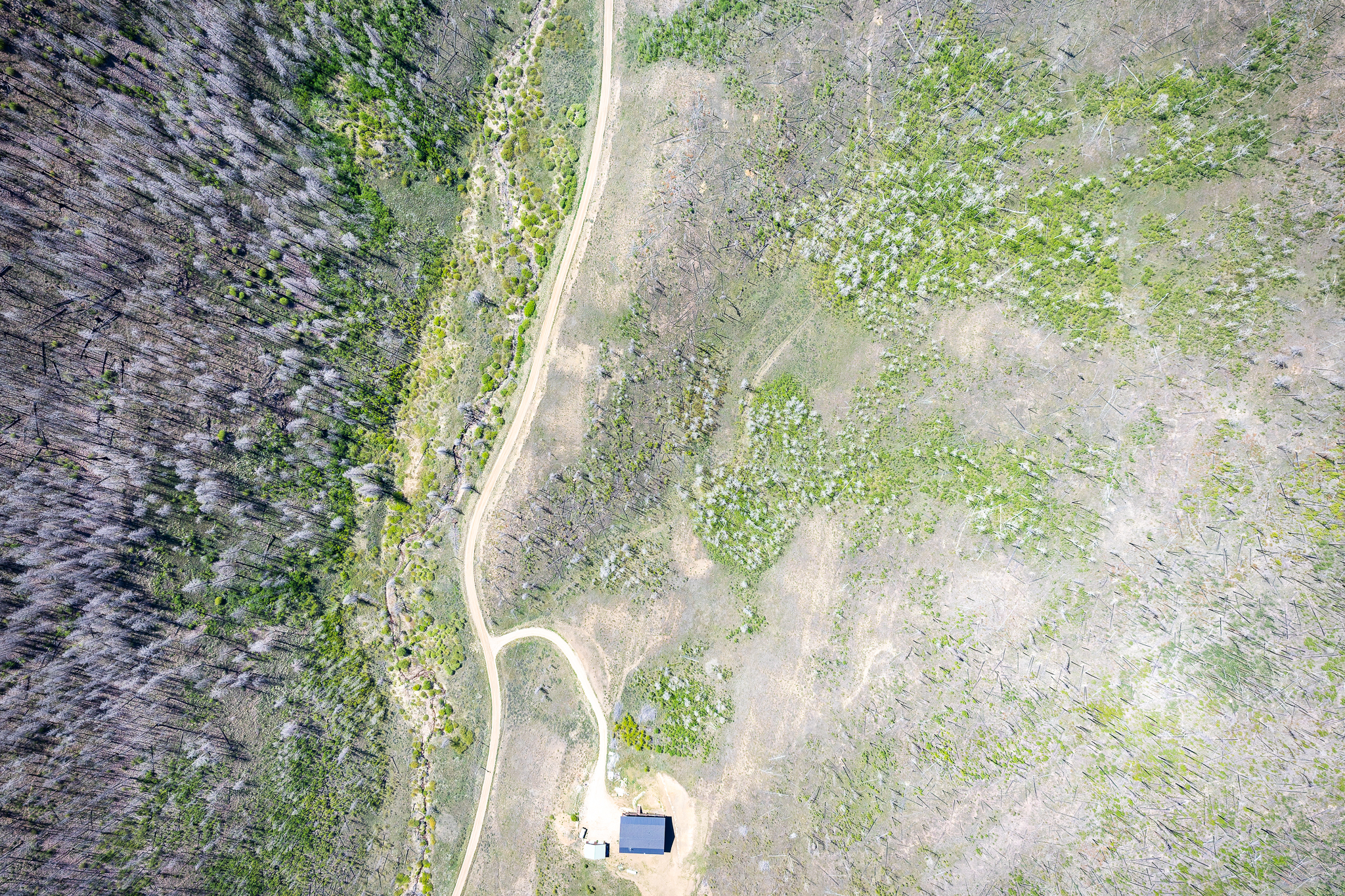  811 Gcr 408w, Granby, CO, 80446 - 物件實景