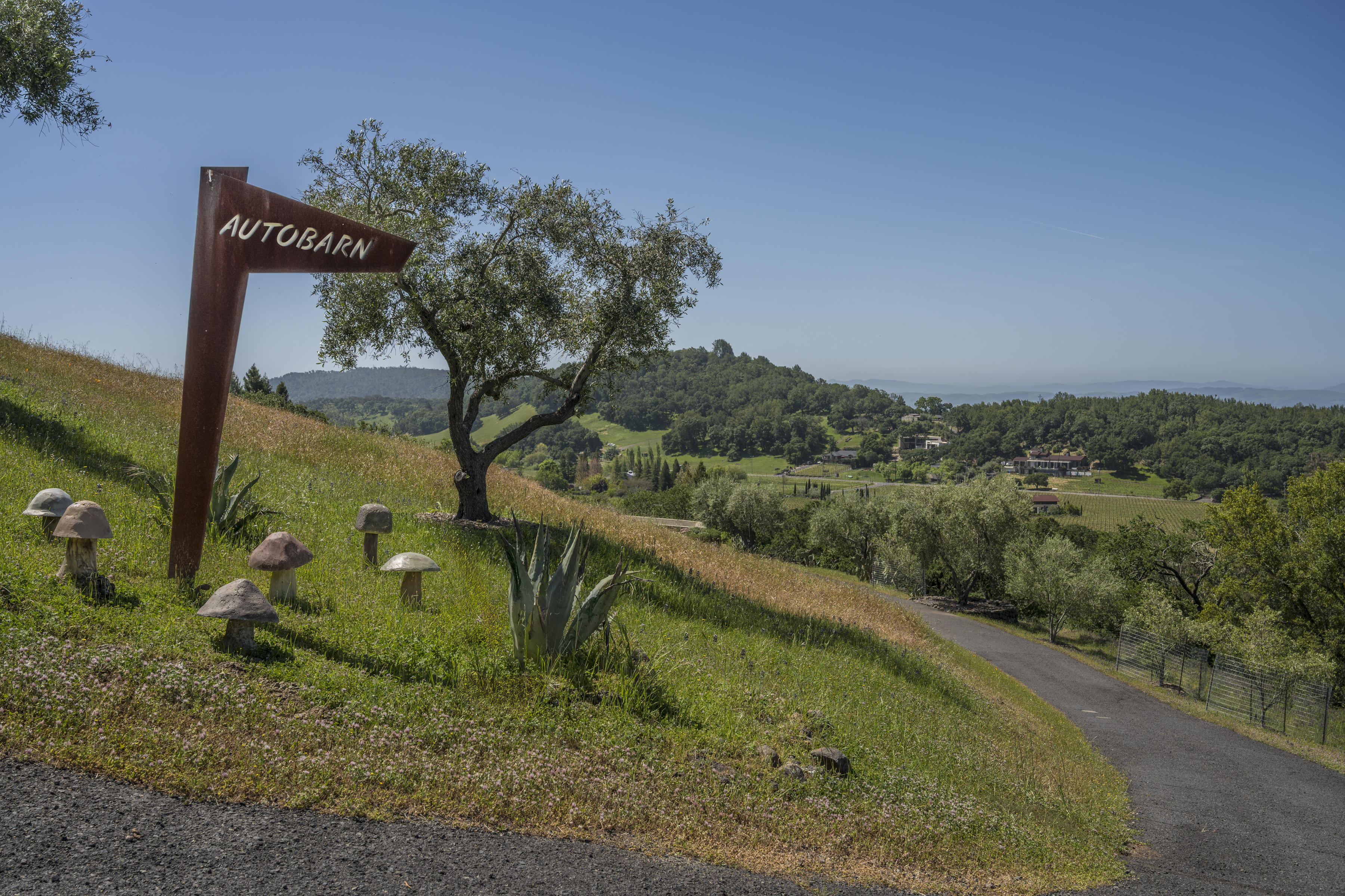  3866 Lovall Valley Road - 物件實景