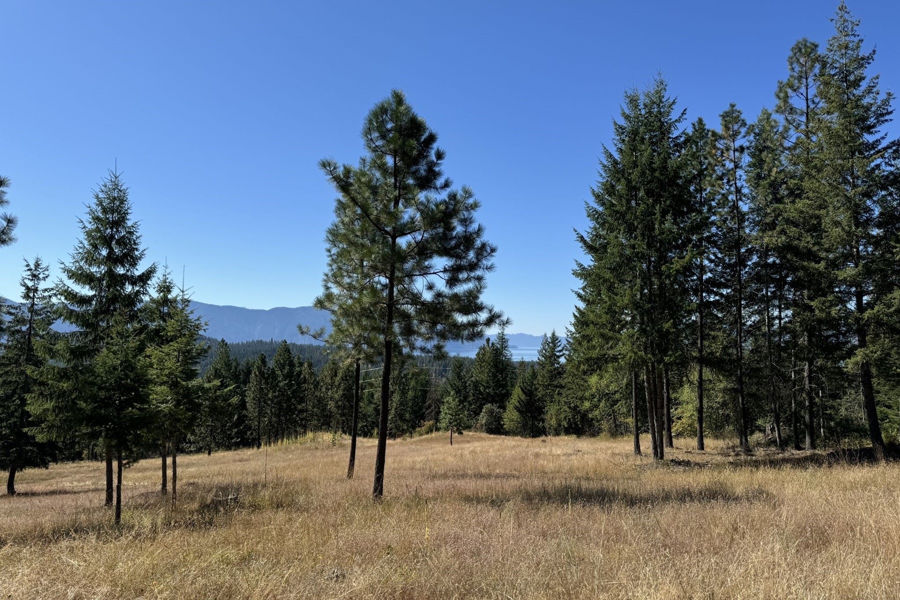  Lakeview 10 Acres in Hope Idaho - 物件實景